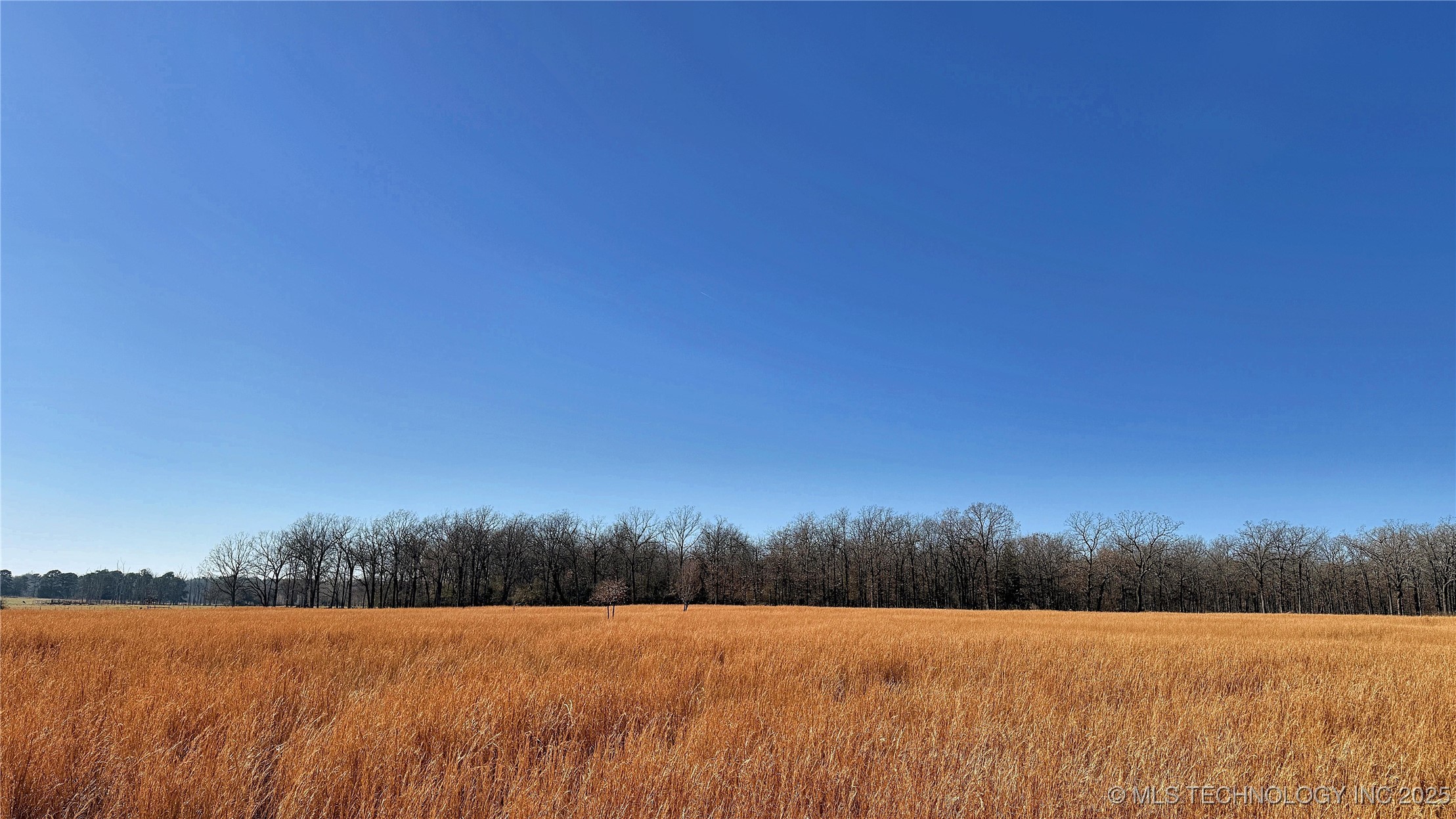 8195 Hwy 82 A Property Photo 45