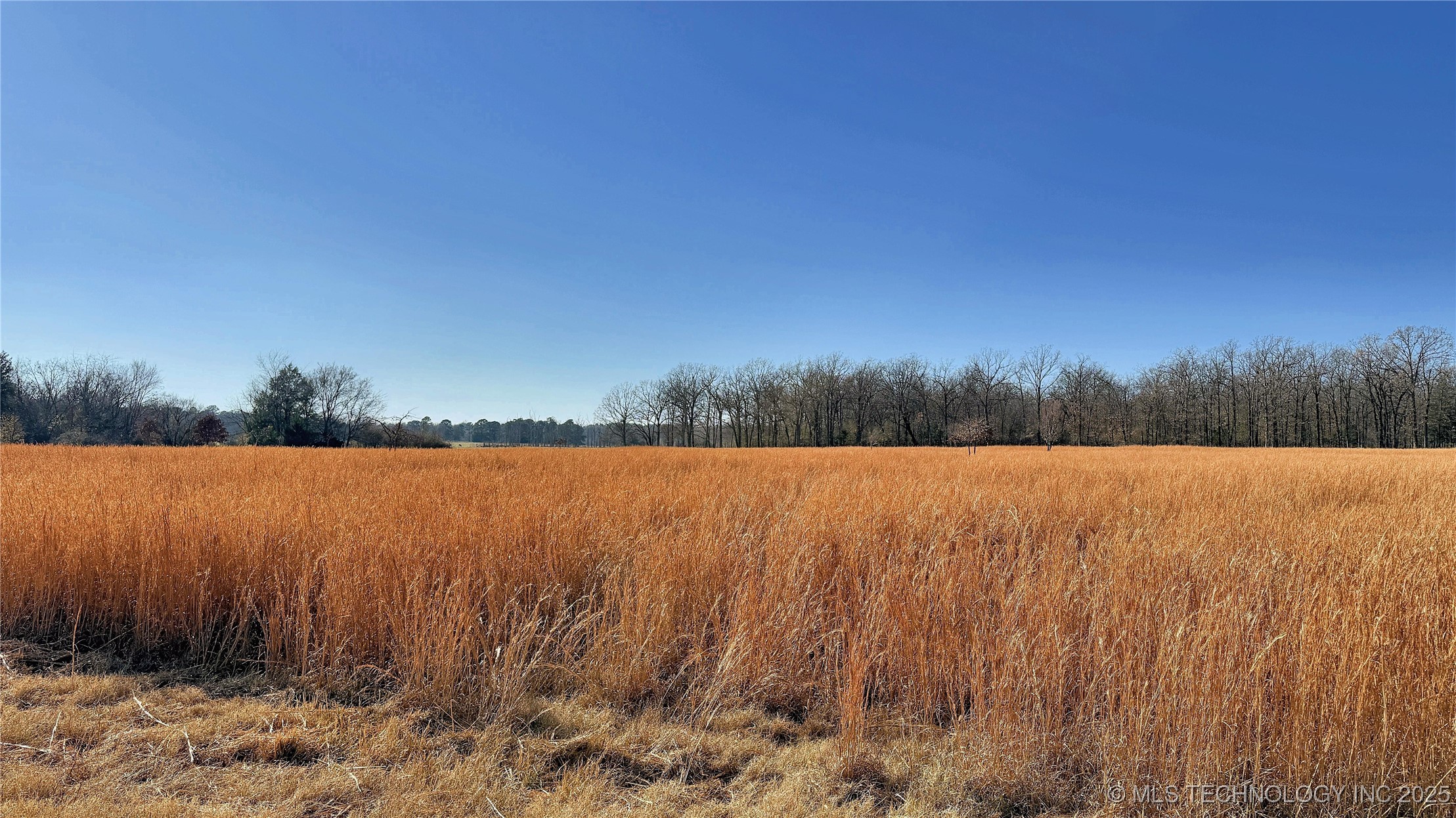 8195 Hwy 82 A Property Photo 58