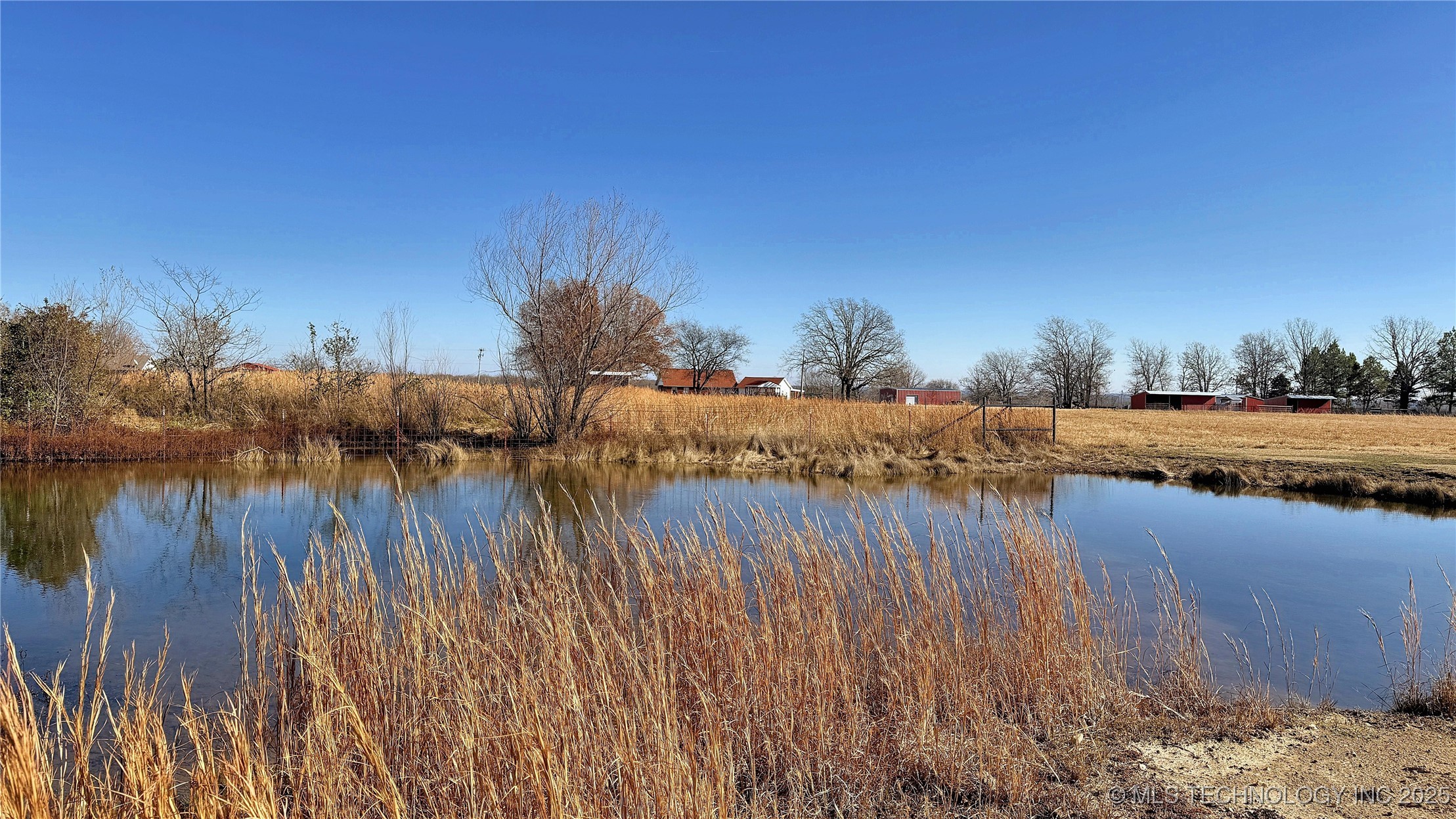 8195 Hwy 82 A Property Photo 59