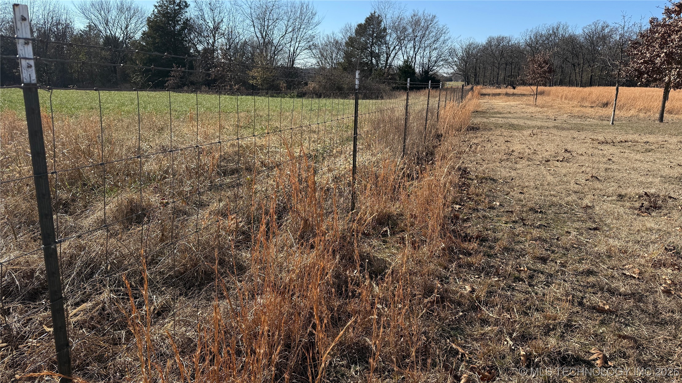 8195 Hwy 82 A Property Photo 61