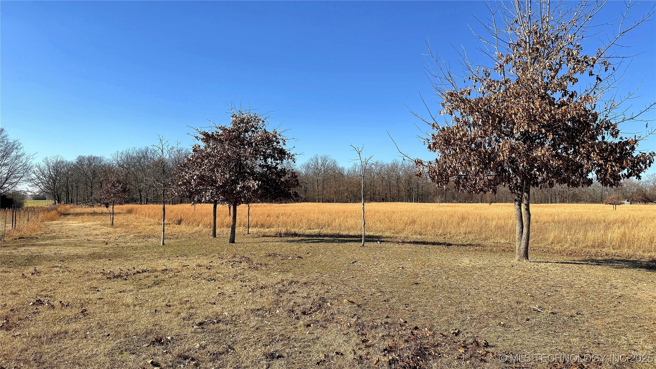 8195 Hwy 82 A Property Photo 62