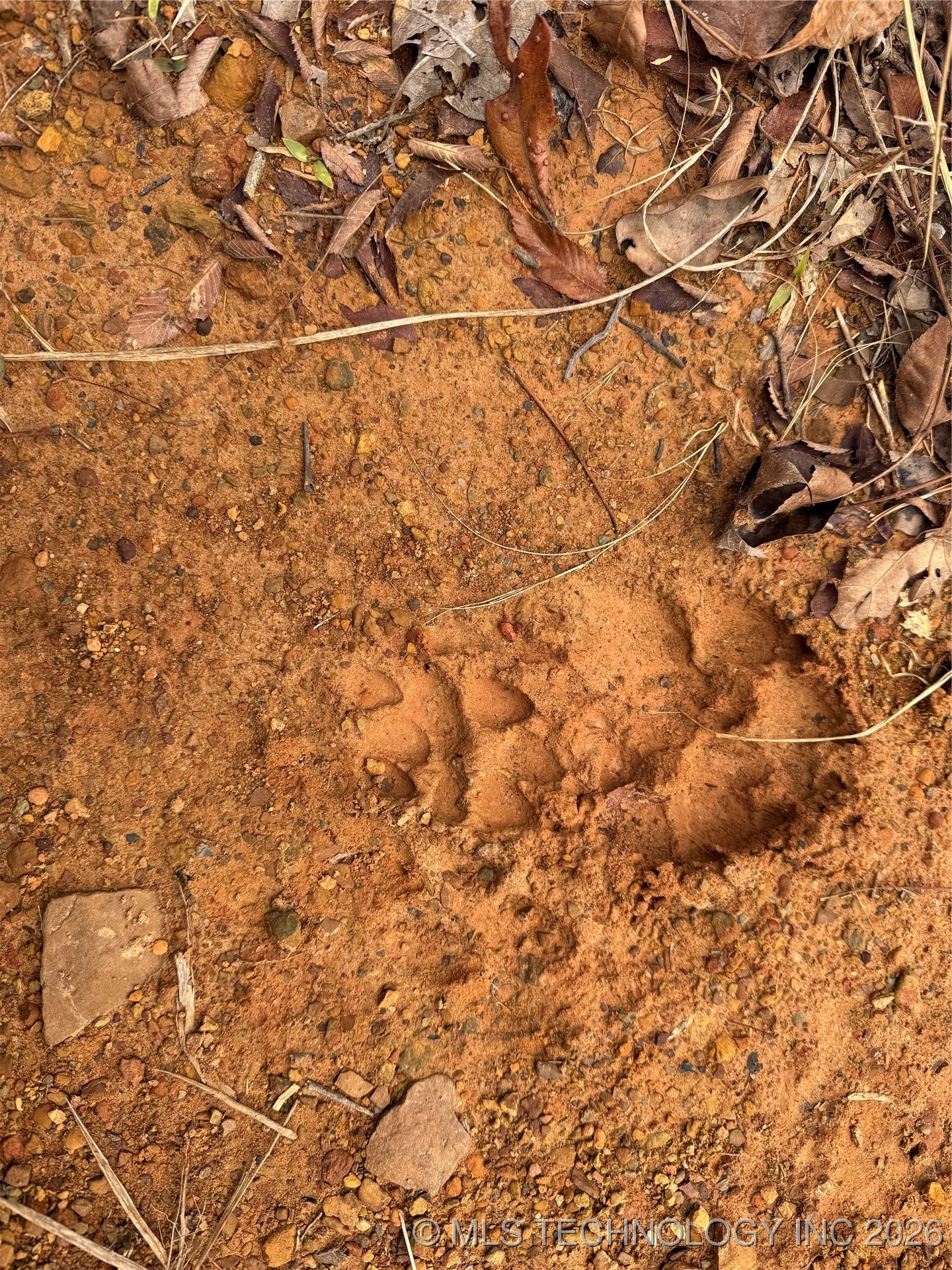 805 Road Property Photo 5