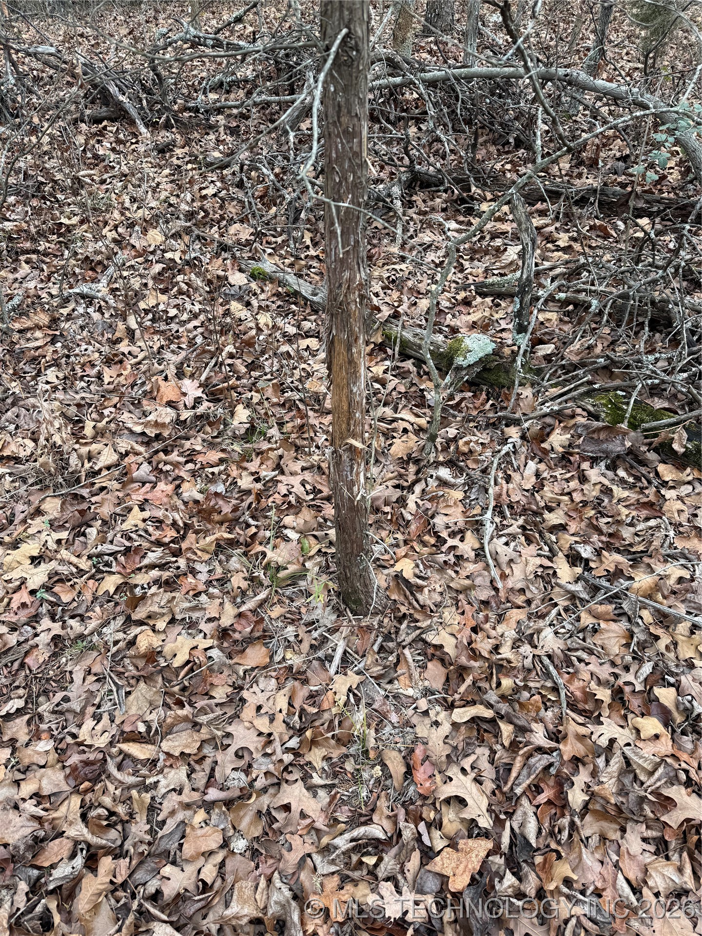 805 Road Property Photo 8