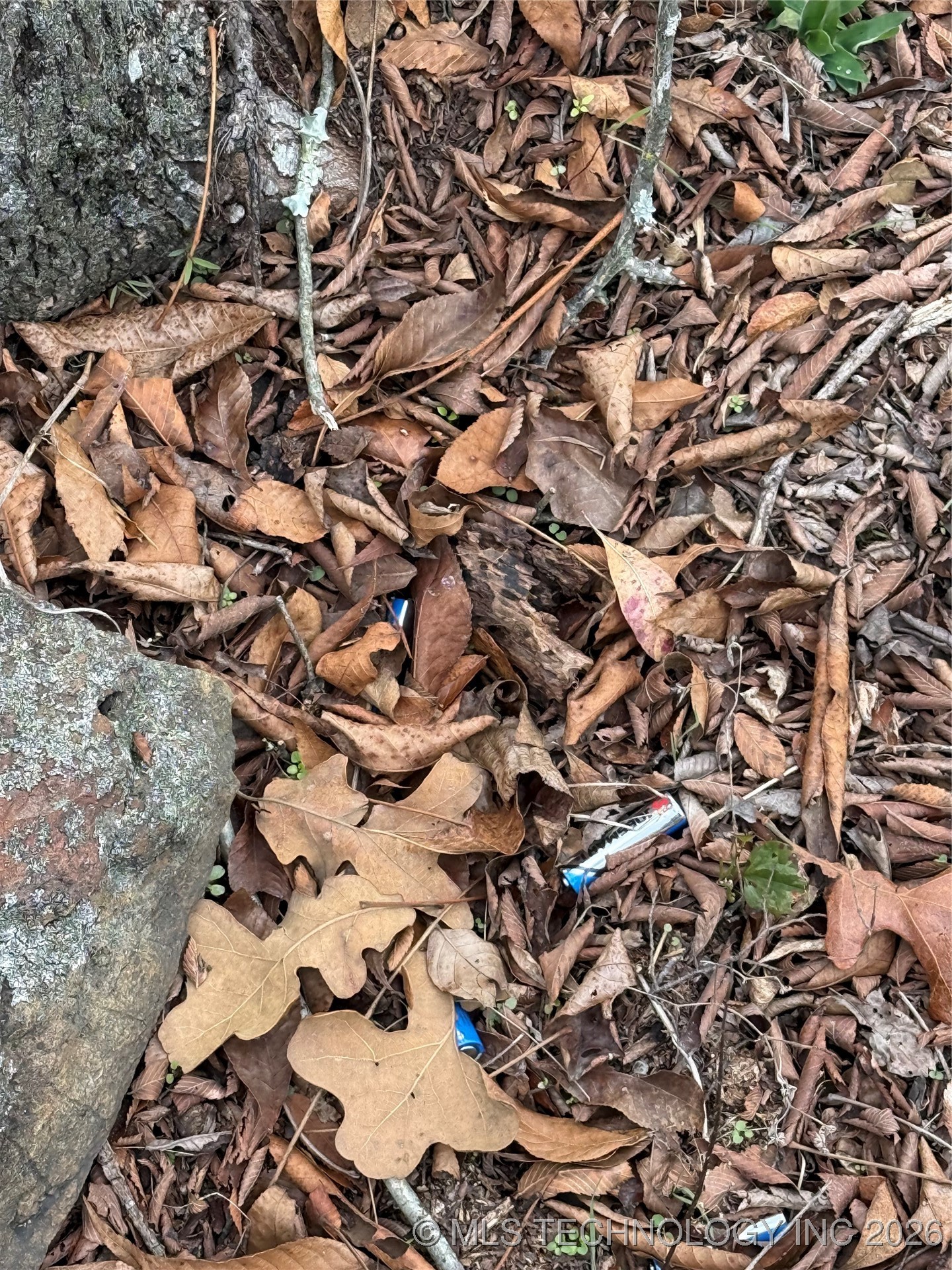 805 Road Property Photo 10