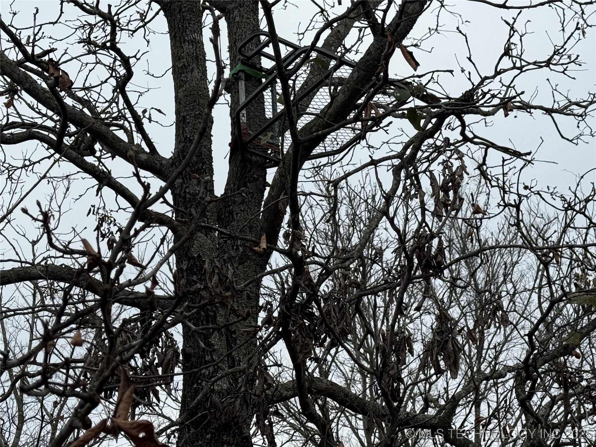 805 Road Property Photo 11