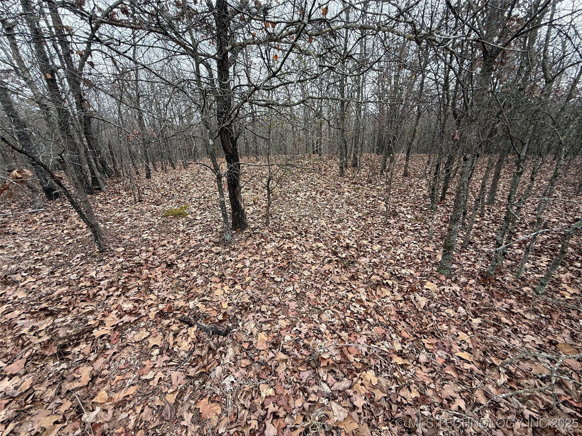 805 Road Property Photo 15