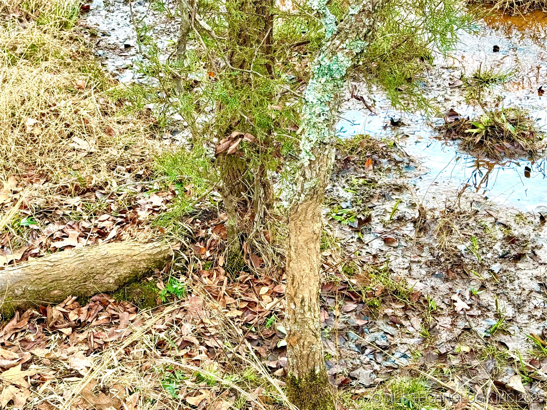 805 Road Property Photo 27