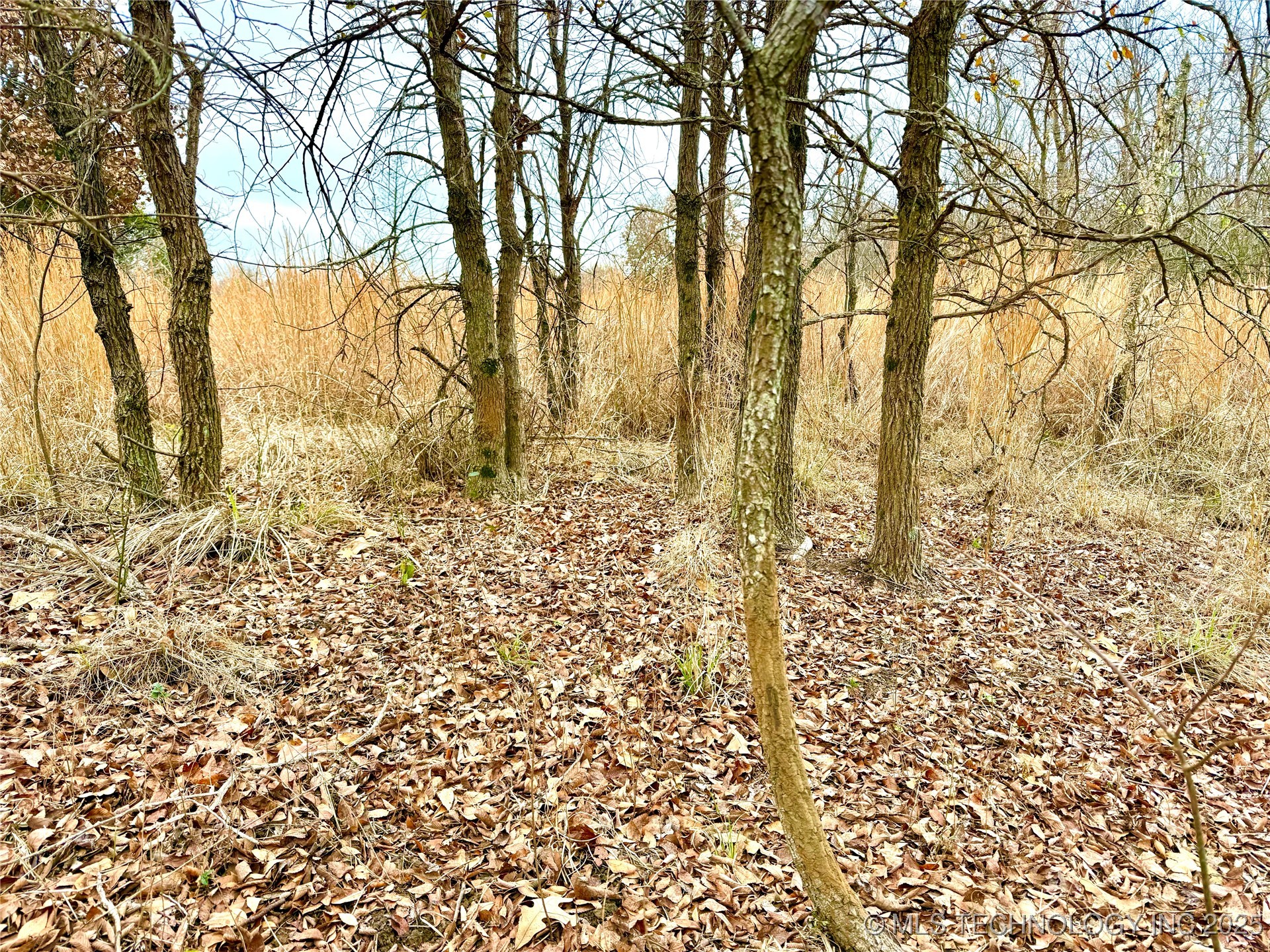 805 Road Property Photo 28