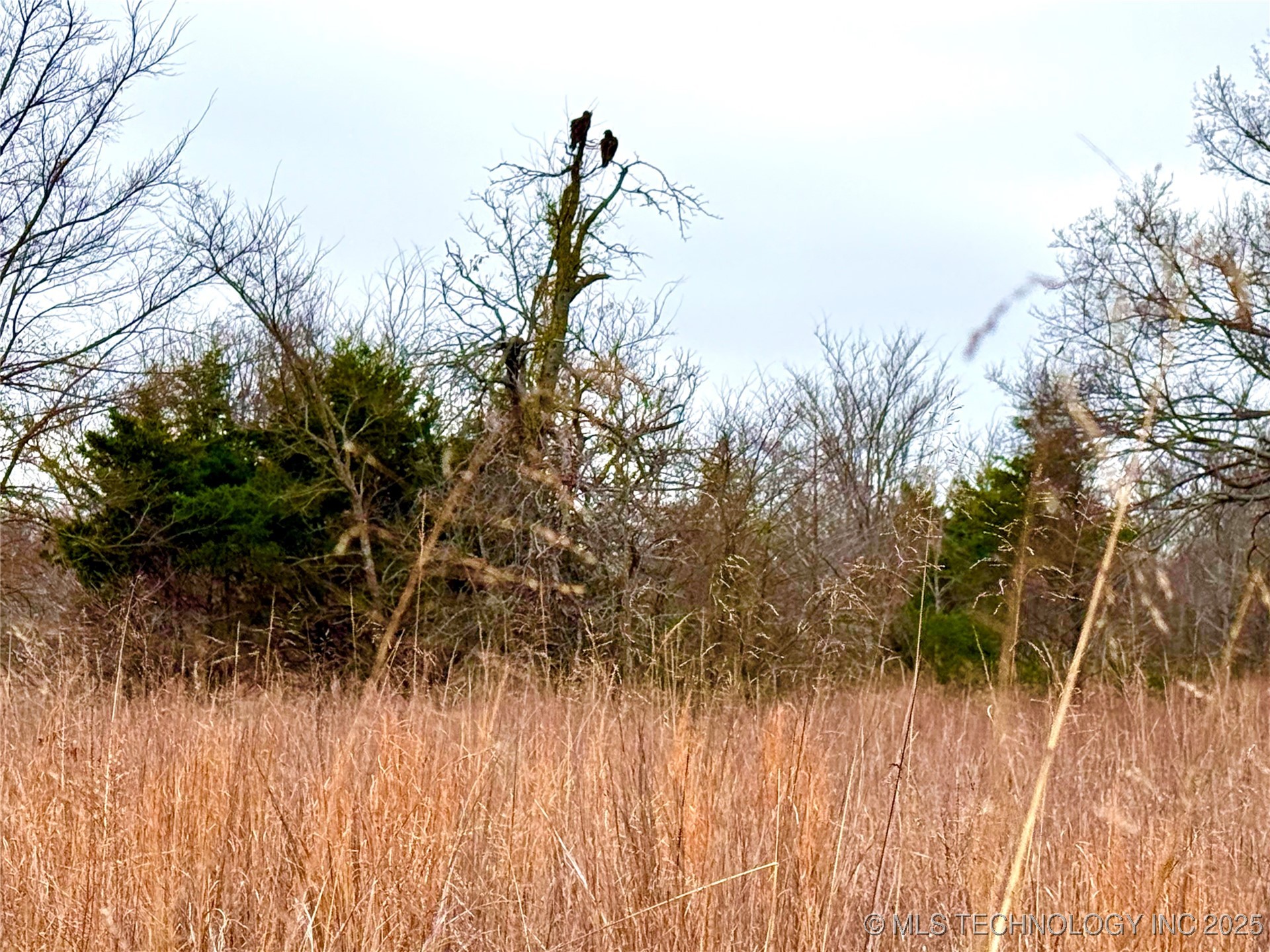 805 Road Property Photo 36