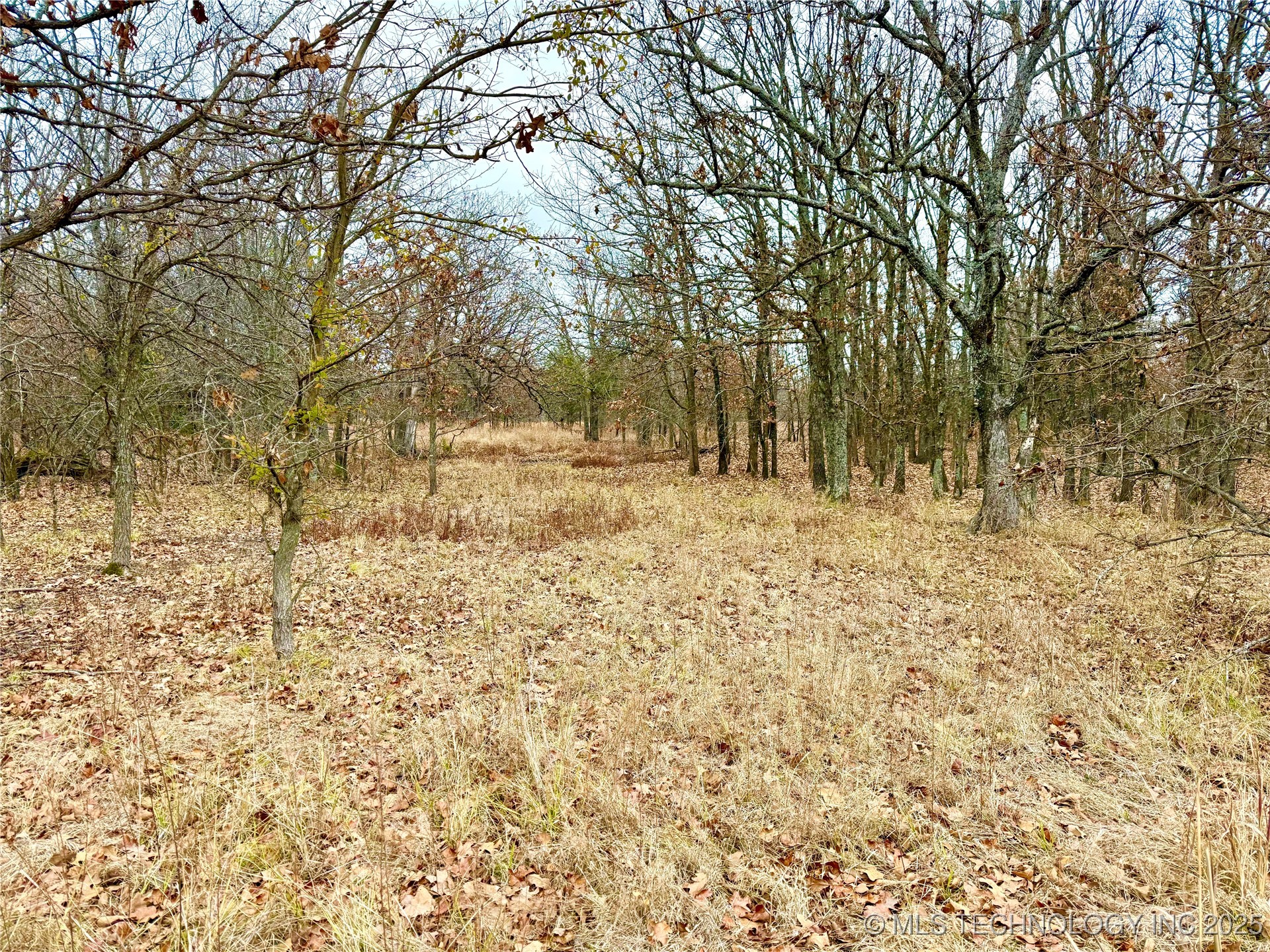 805 Road Property Photo 37