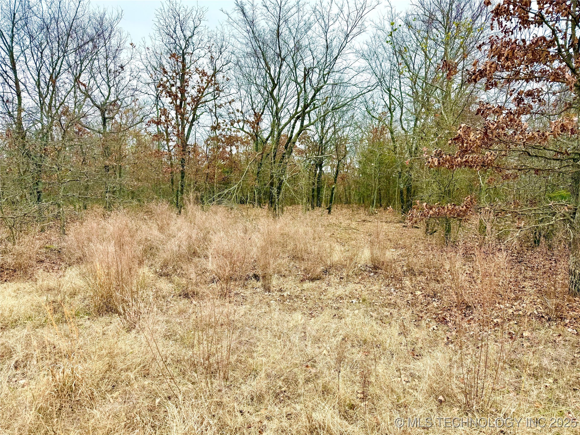 805 Road Property Photo 43