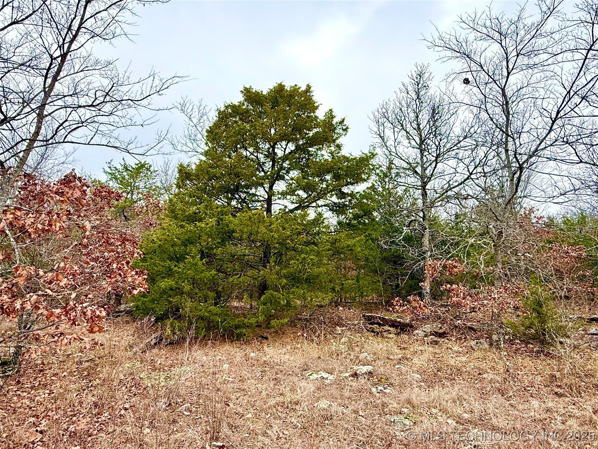 805 Road Property Photo 45