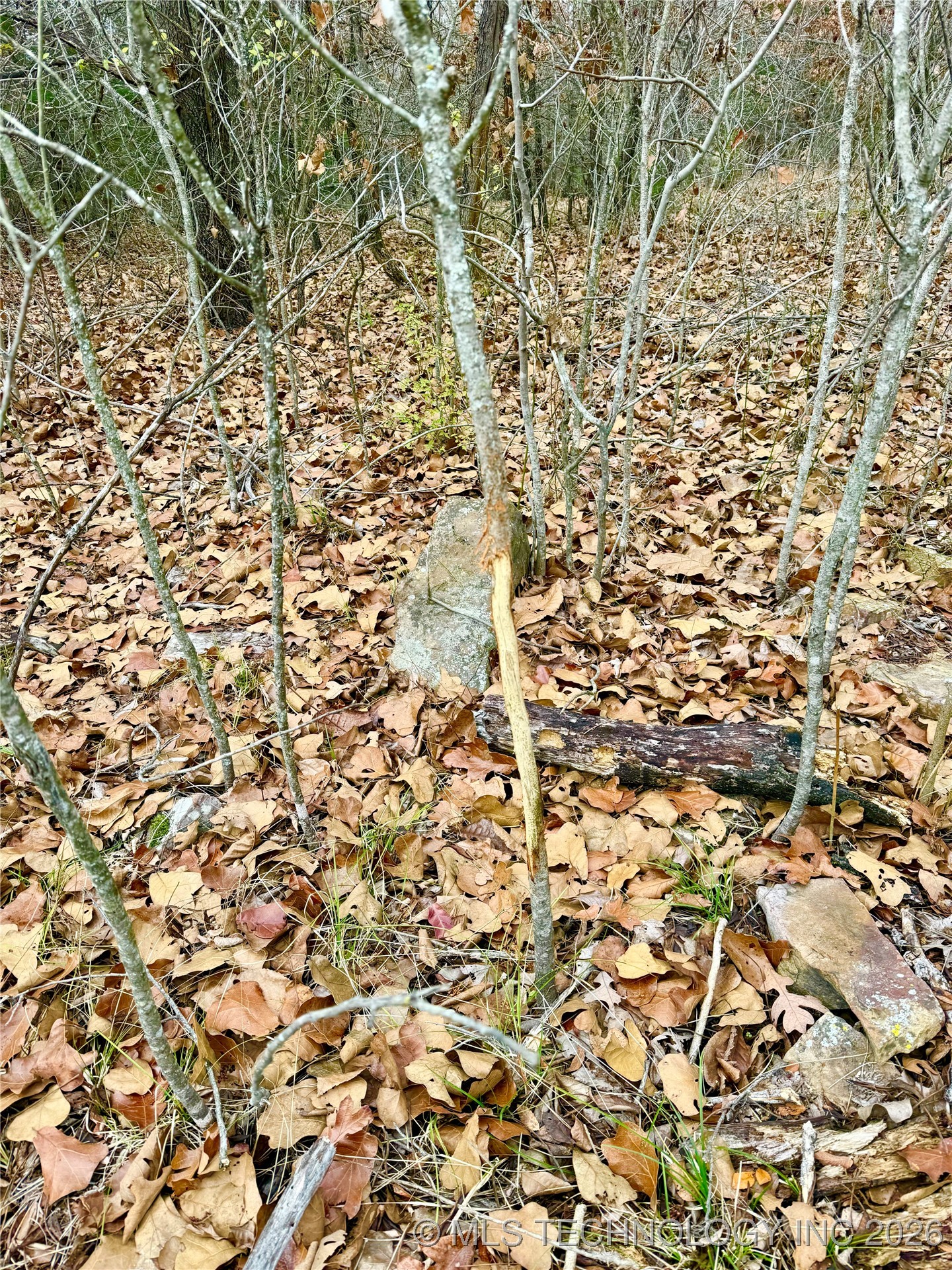 805 Road Property Photo 51