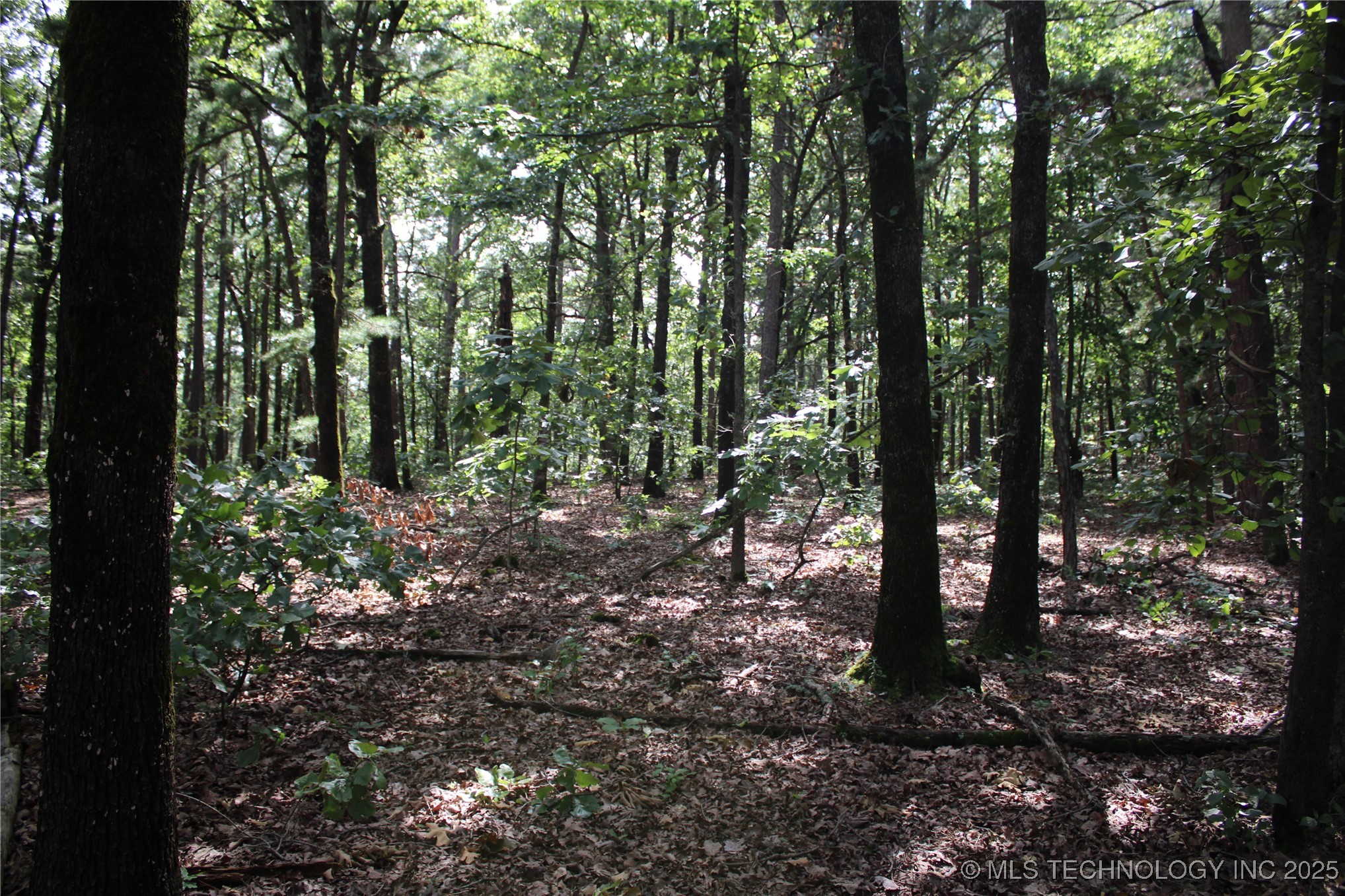 225 S 620 Road Property Photo 13