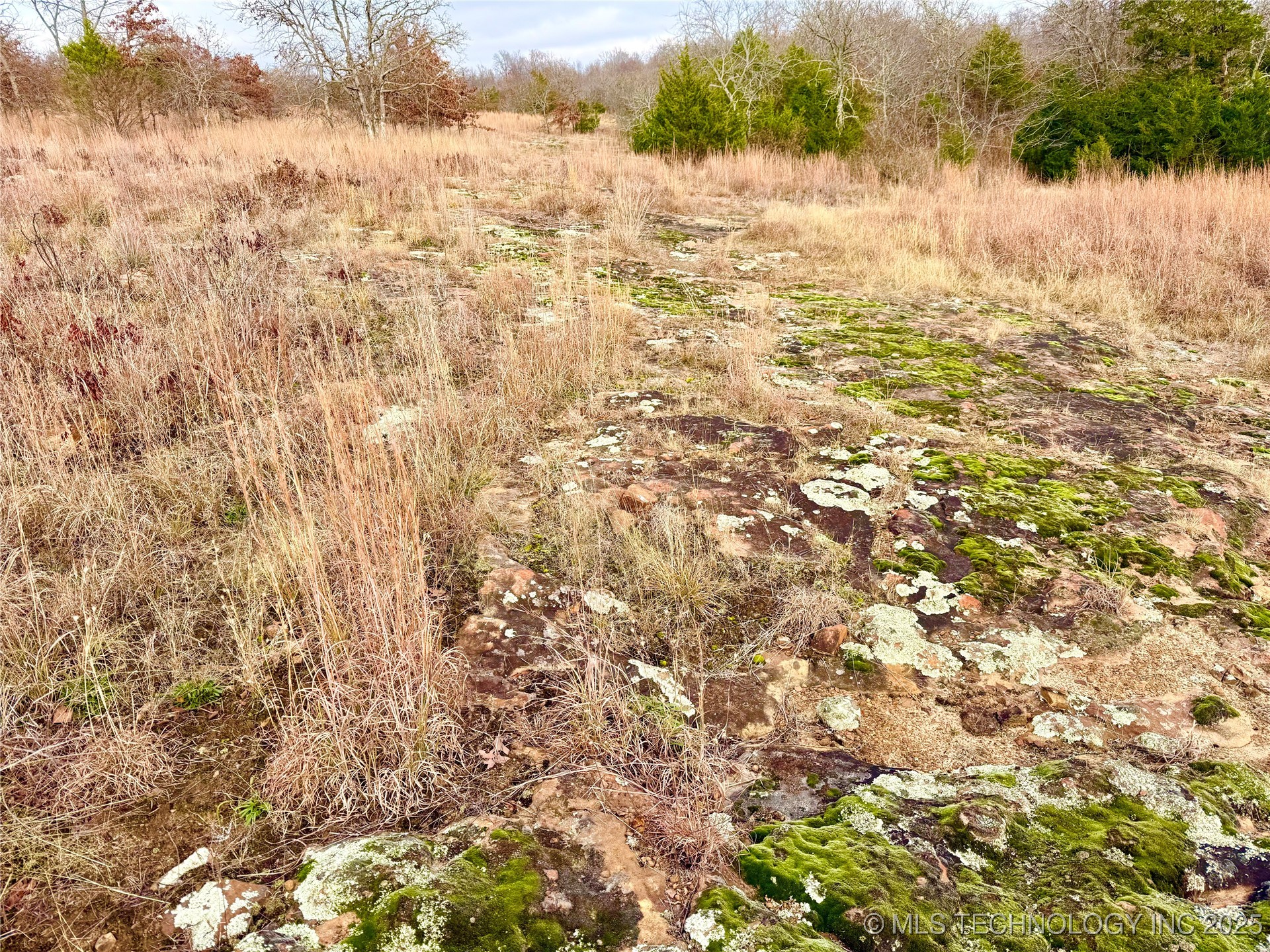 805 Road Property Photo 5