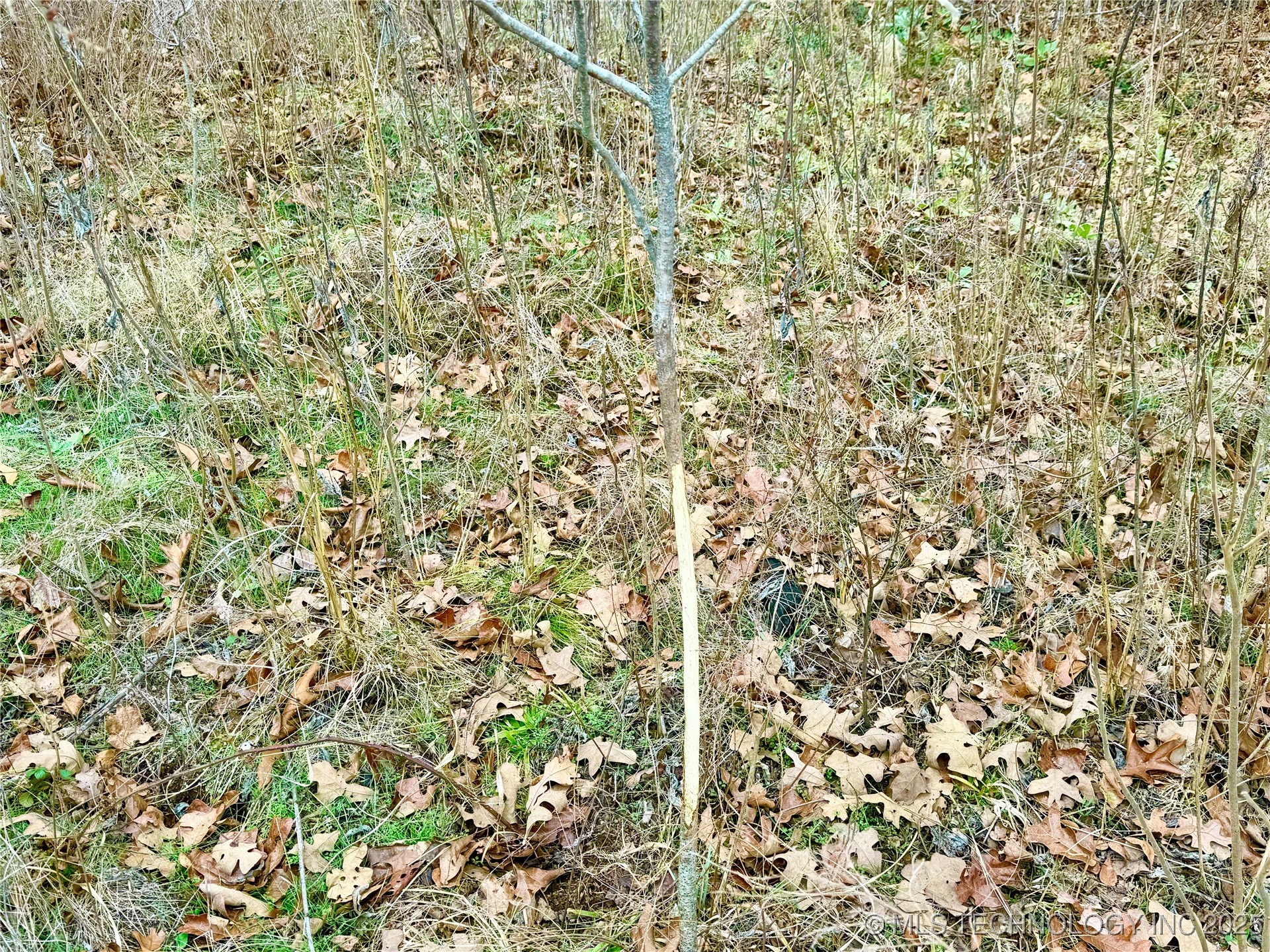 805 Road Property Photo 6