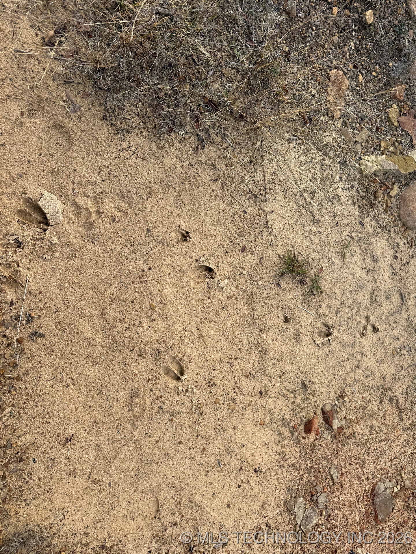 805 Road Property Photo 8