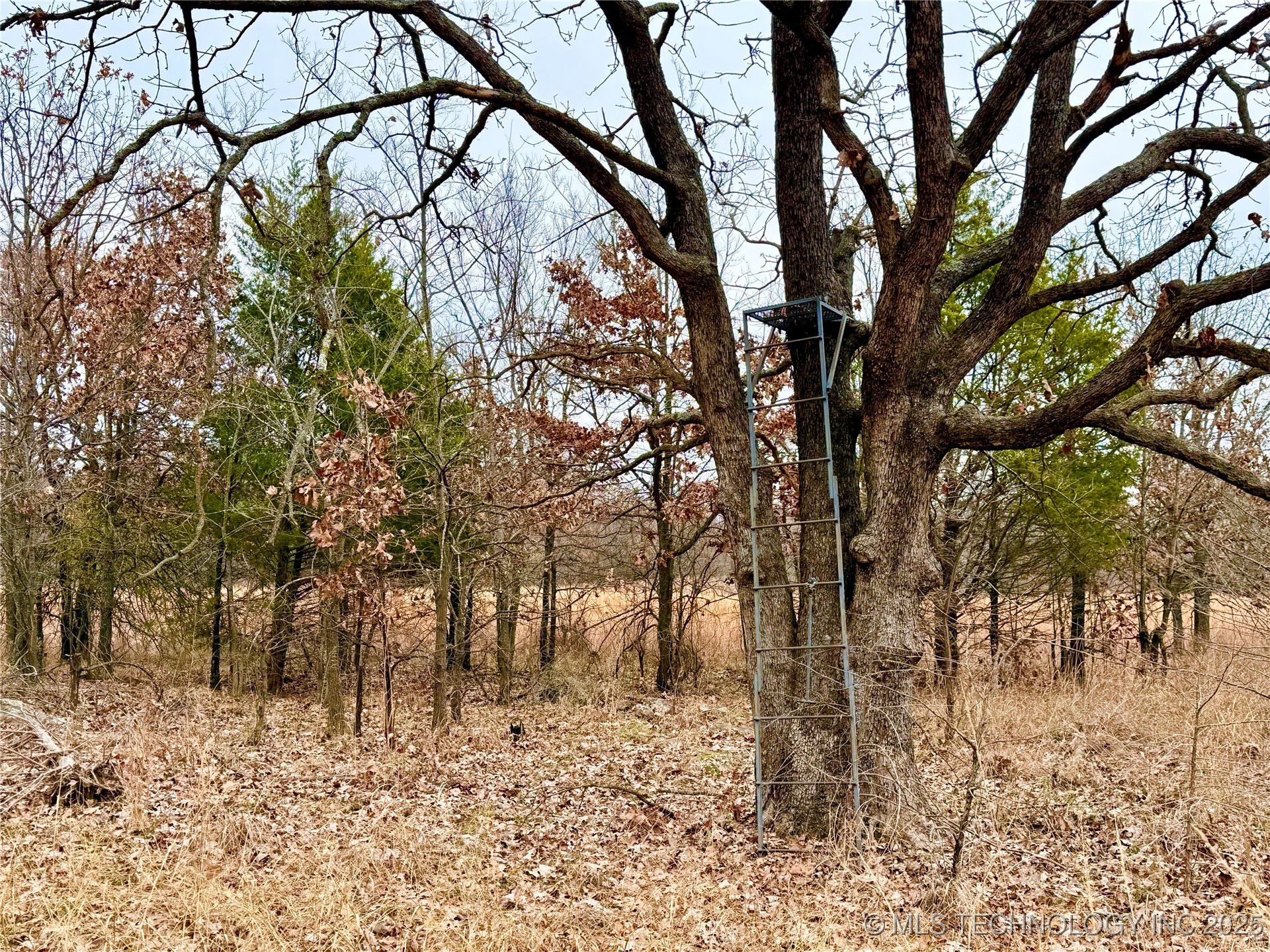 805 Road Property Photo 12