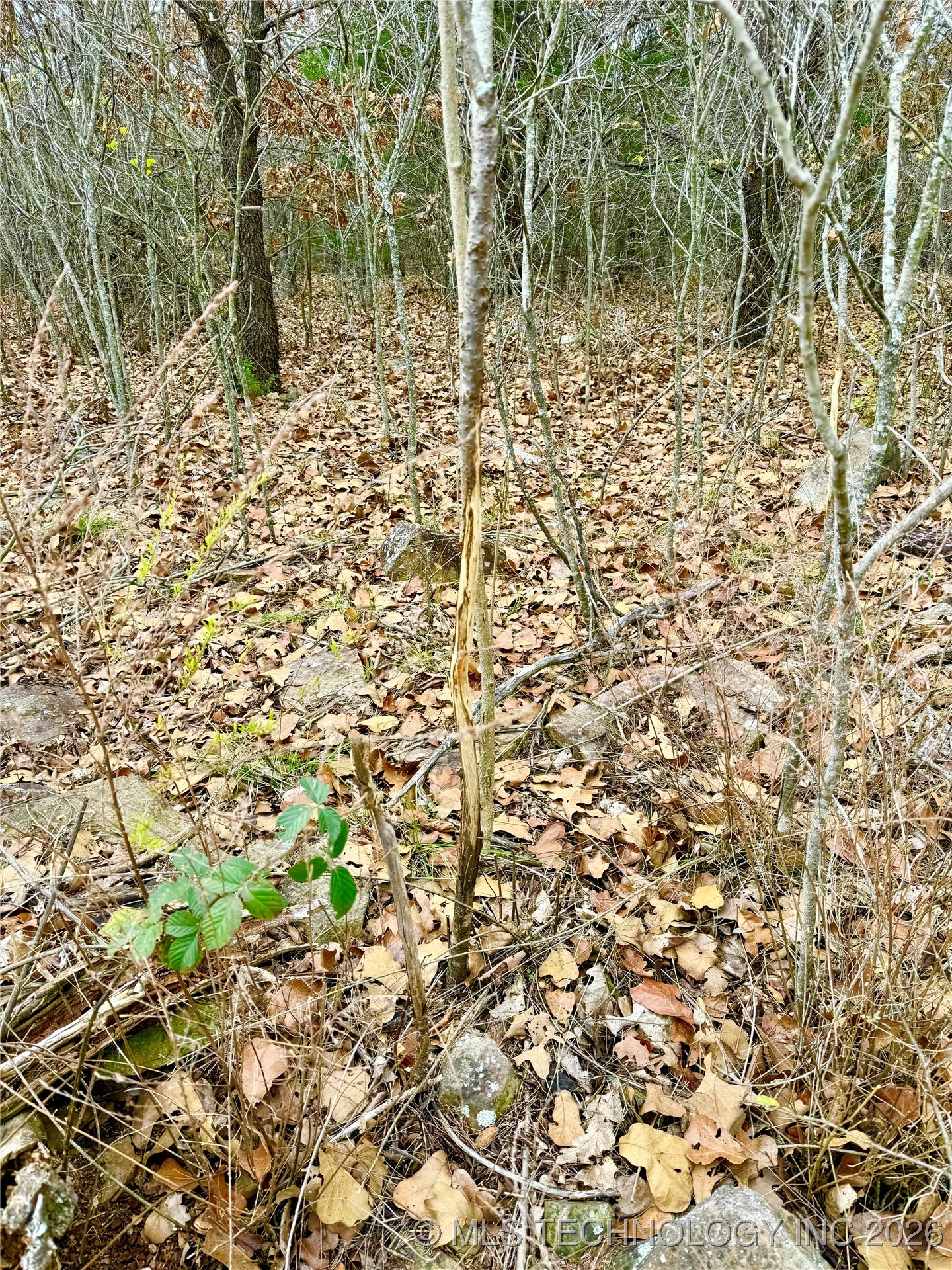 805 Road Property Photo 15