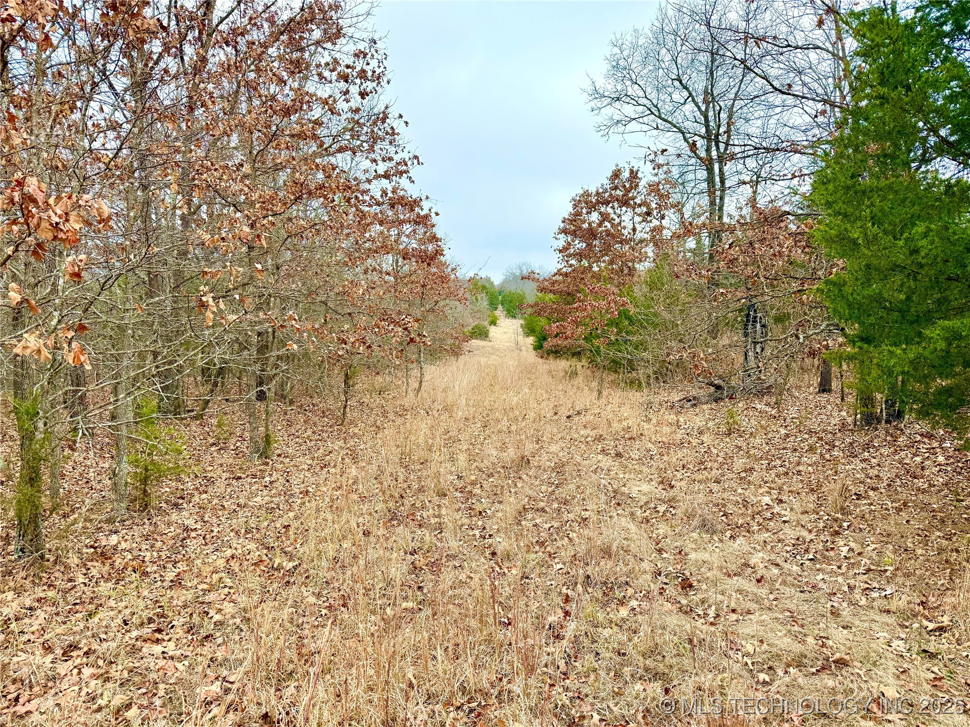 805 Road Property Photo 17