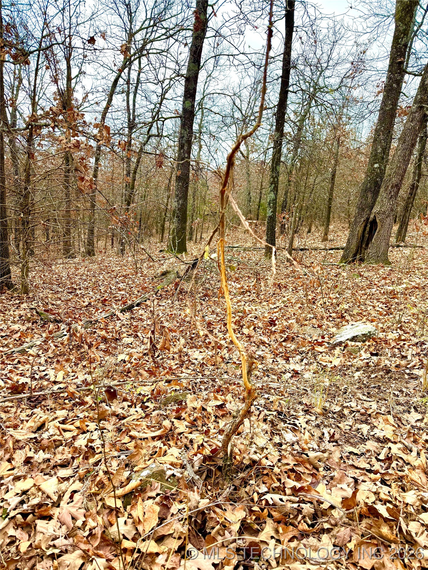 805 Road Property Photo 18