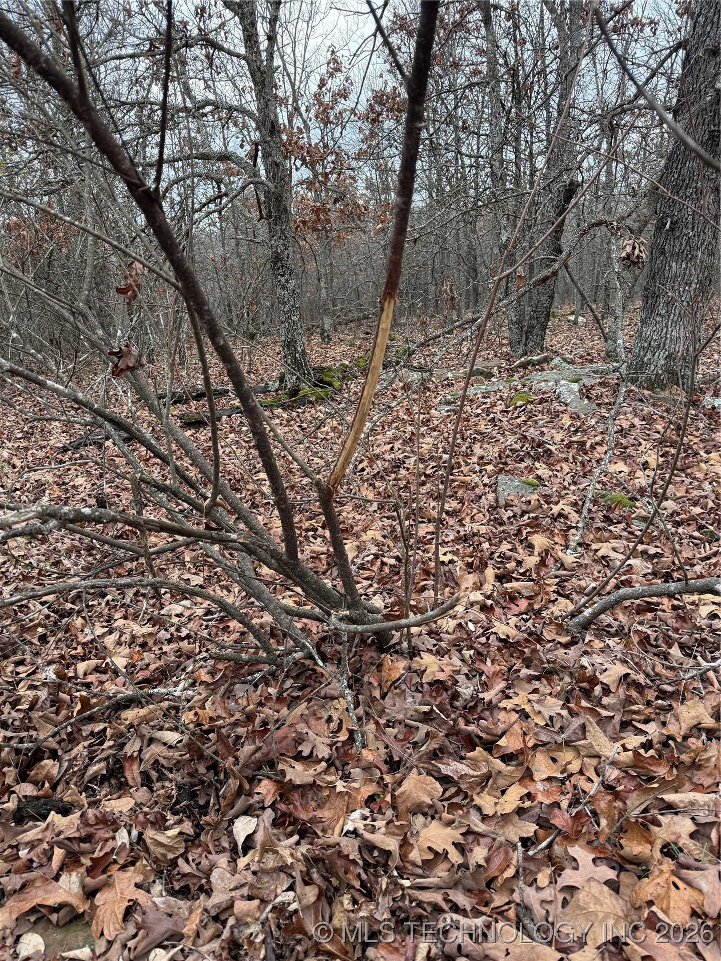 805 Road Property Photo 27