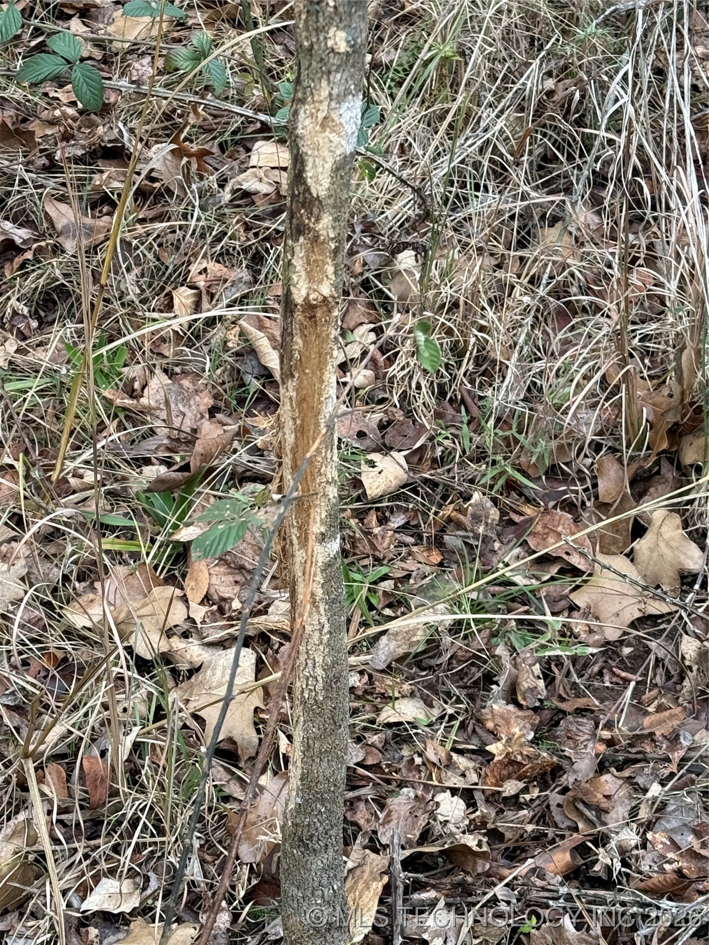 805 Road Property Photo 28