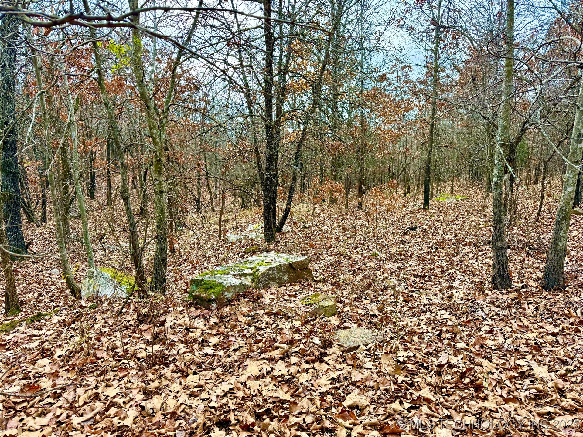 805 Road Property Photo 38