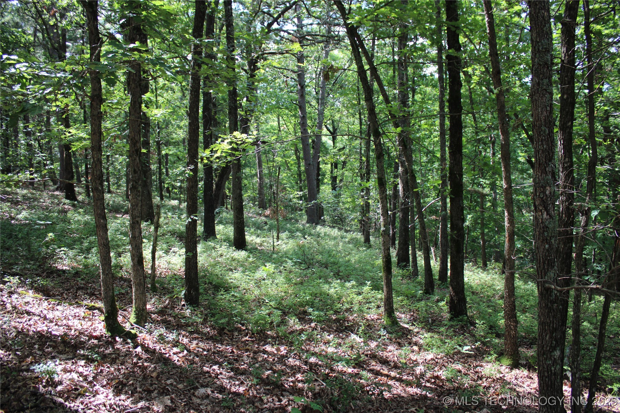 243 S 620 Road Property Photo 10