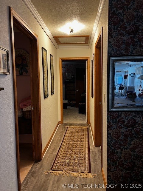 638 W Main Street Property Photo 9