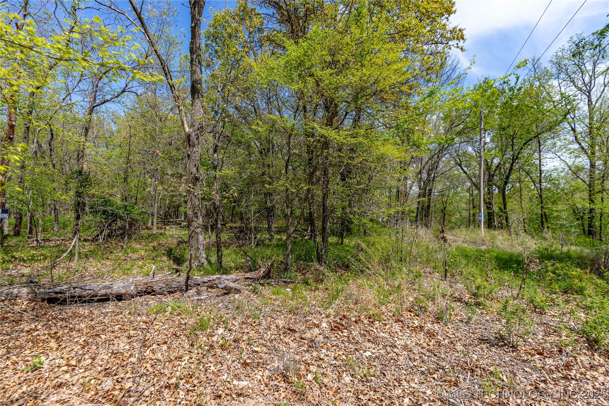 000 Cohea Lane Property Photo 22