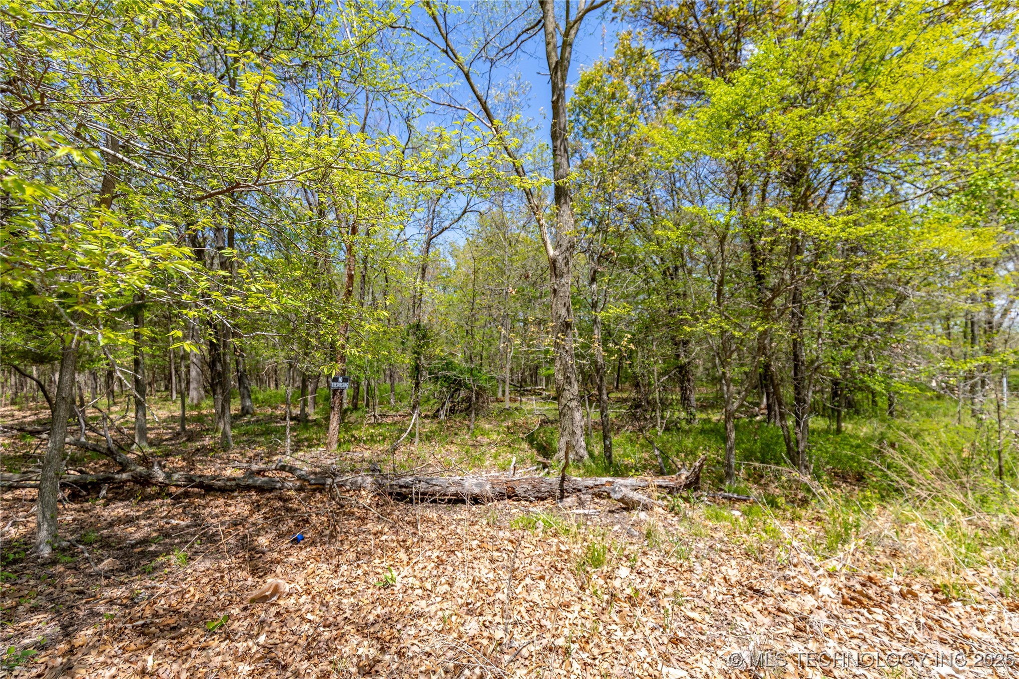 000 Cohea Lane Property Photo 23