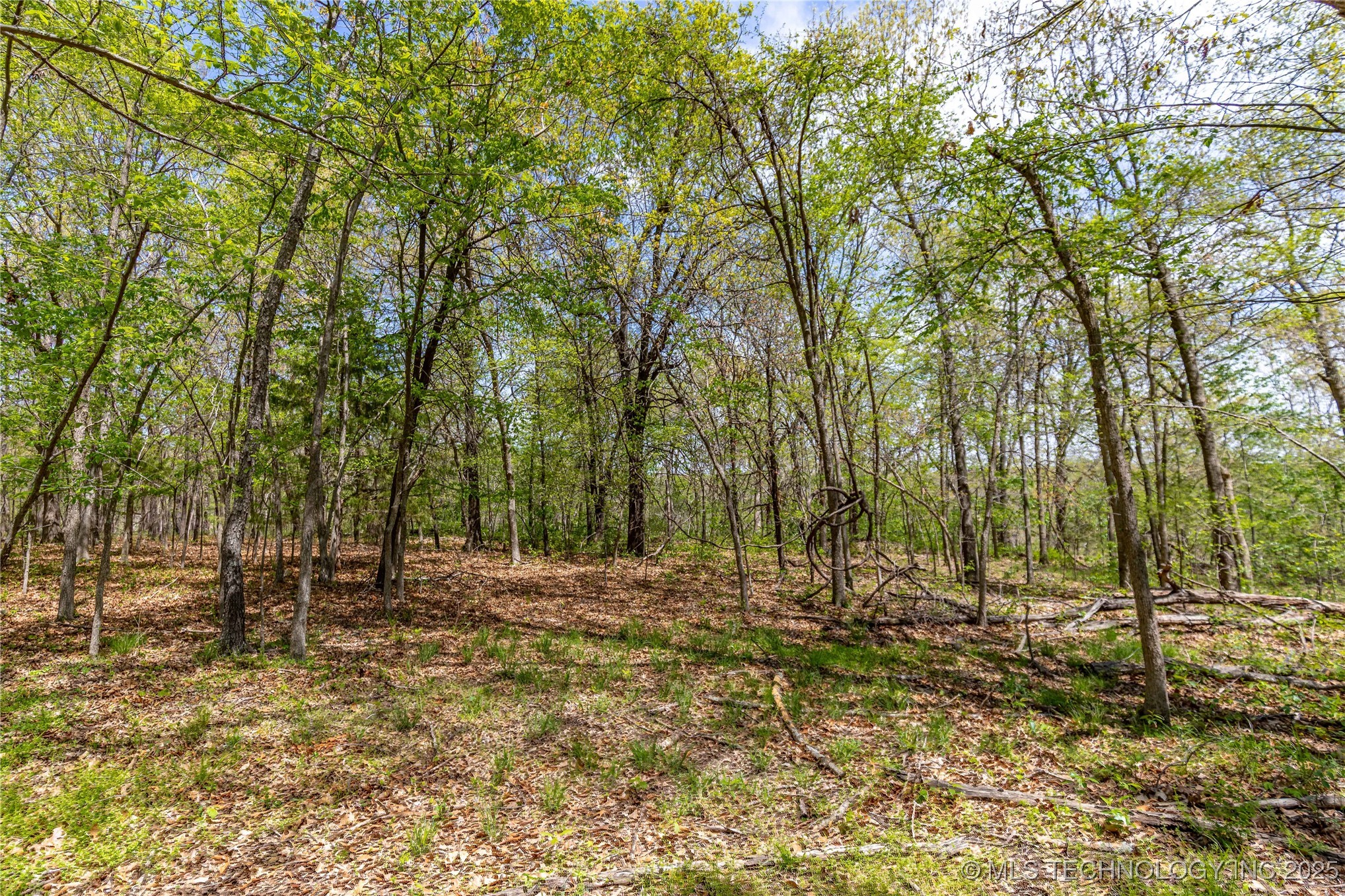 000 Cohea Lane Property Photo 24