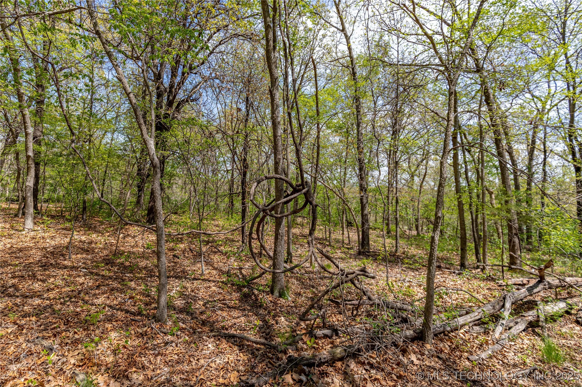 000 Cohea Lane Property Photo 25