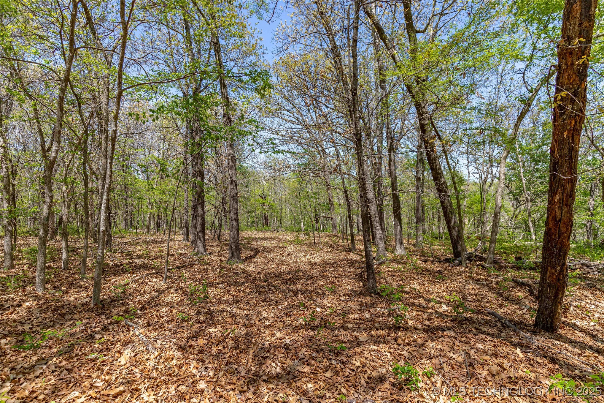 000 Cohea Lane Property Photo 26