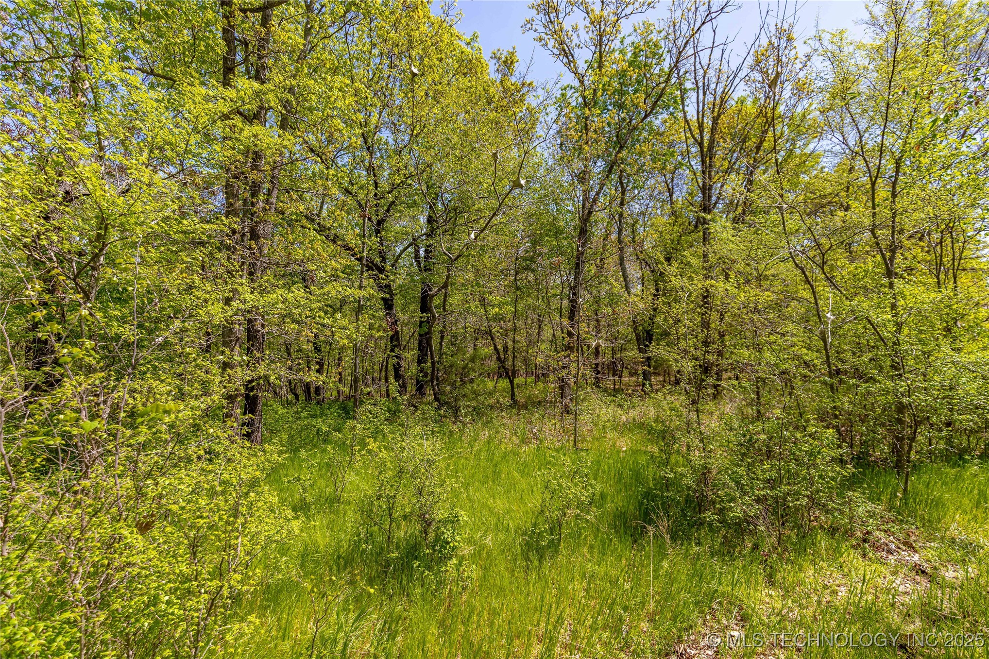 000 Cohea Lane Property Photo 38