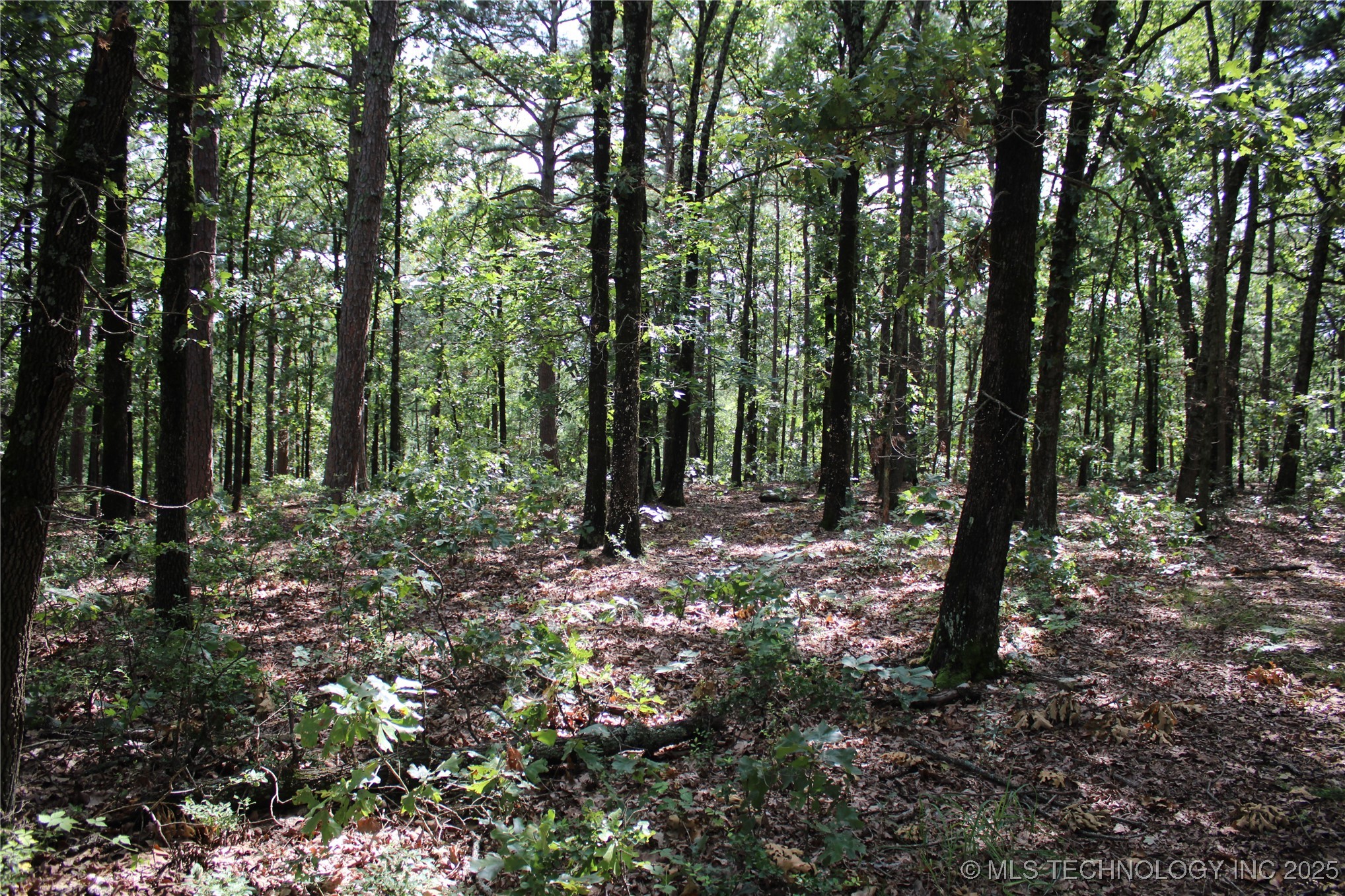 586 Hwy 59 Property Photo 16