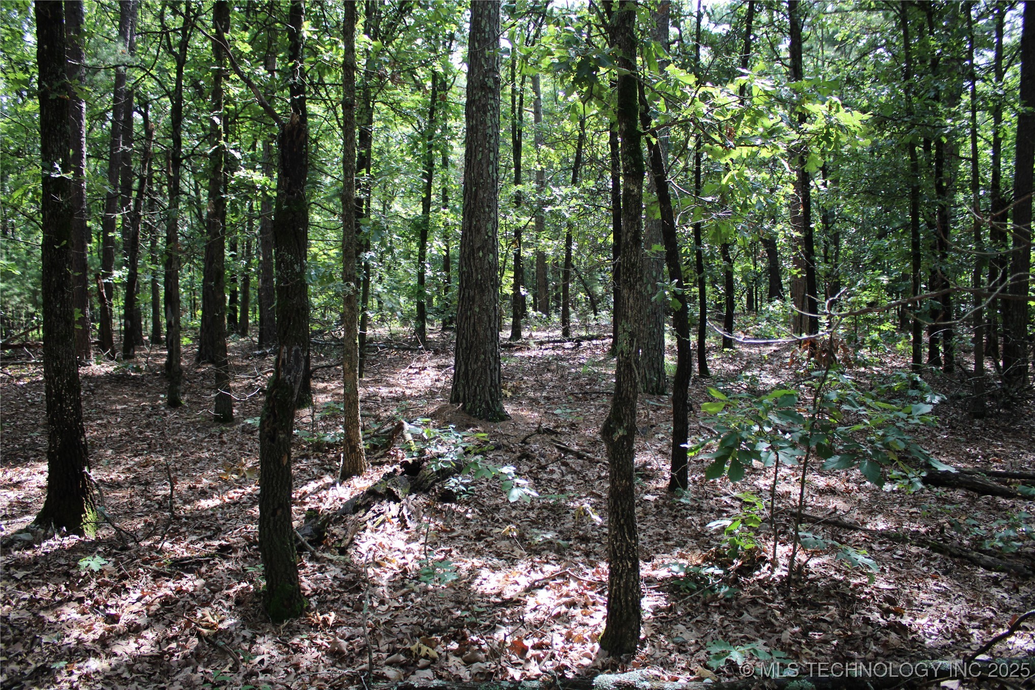 586 Hwy 59 Property Photo 20