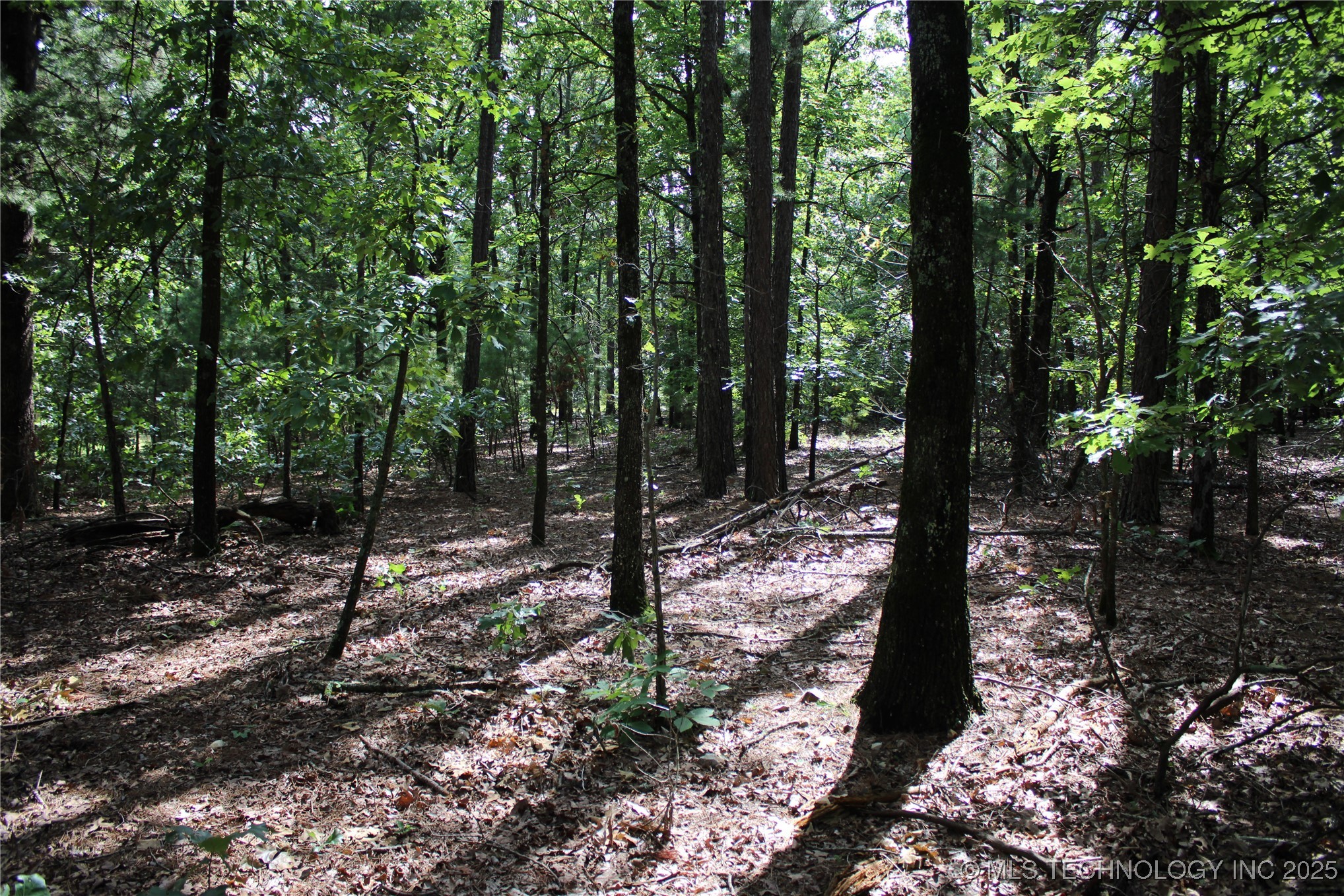 617 Hwy 59 Property Photo 1