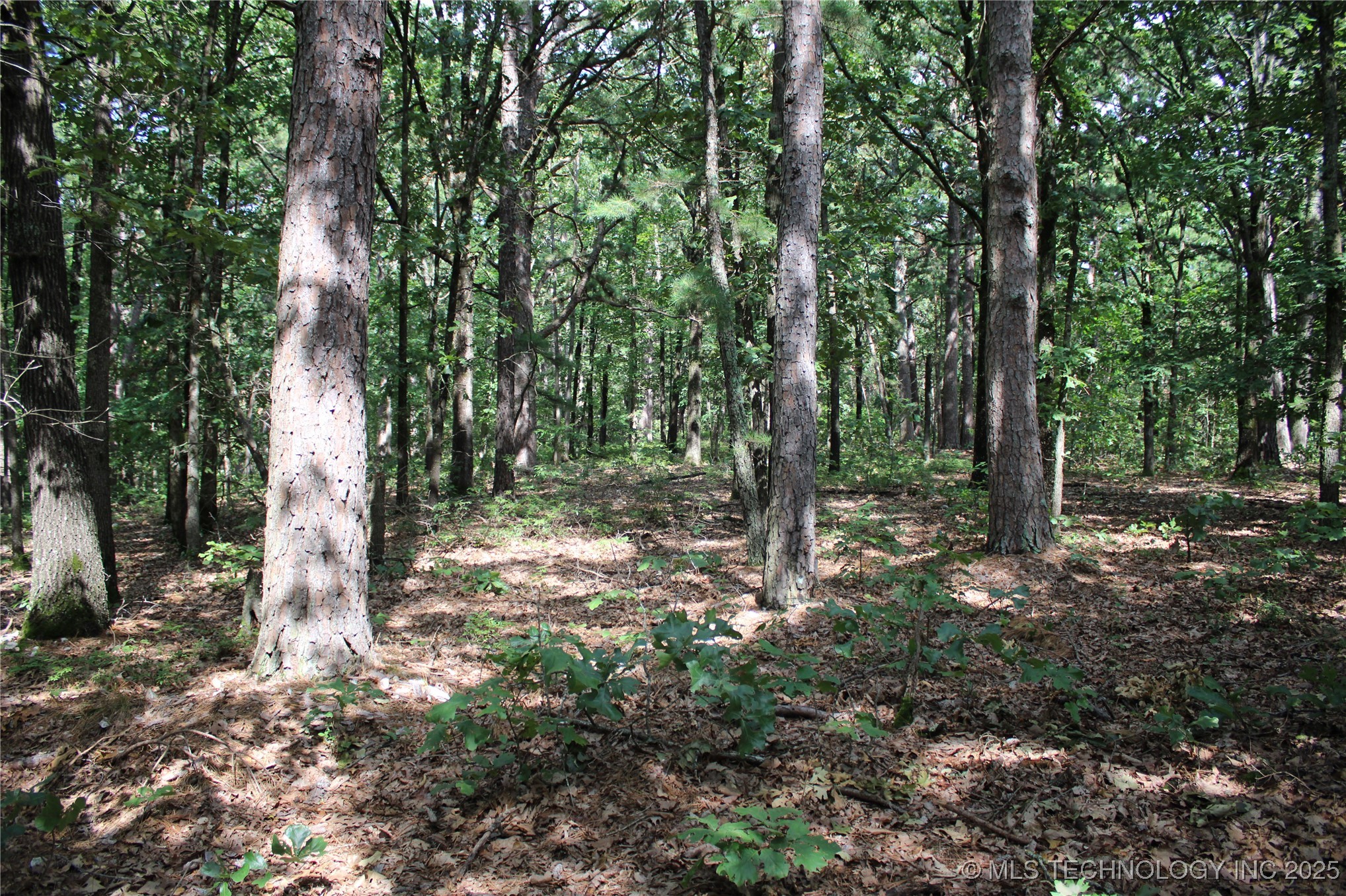 617 Hwy 59 Property Photo 3