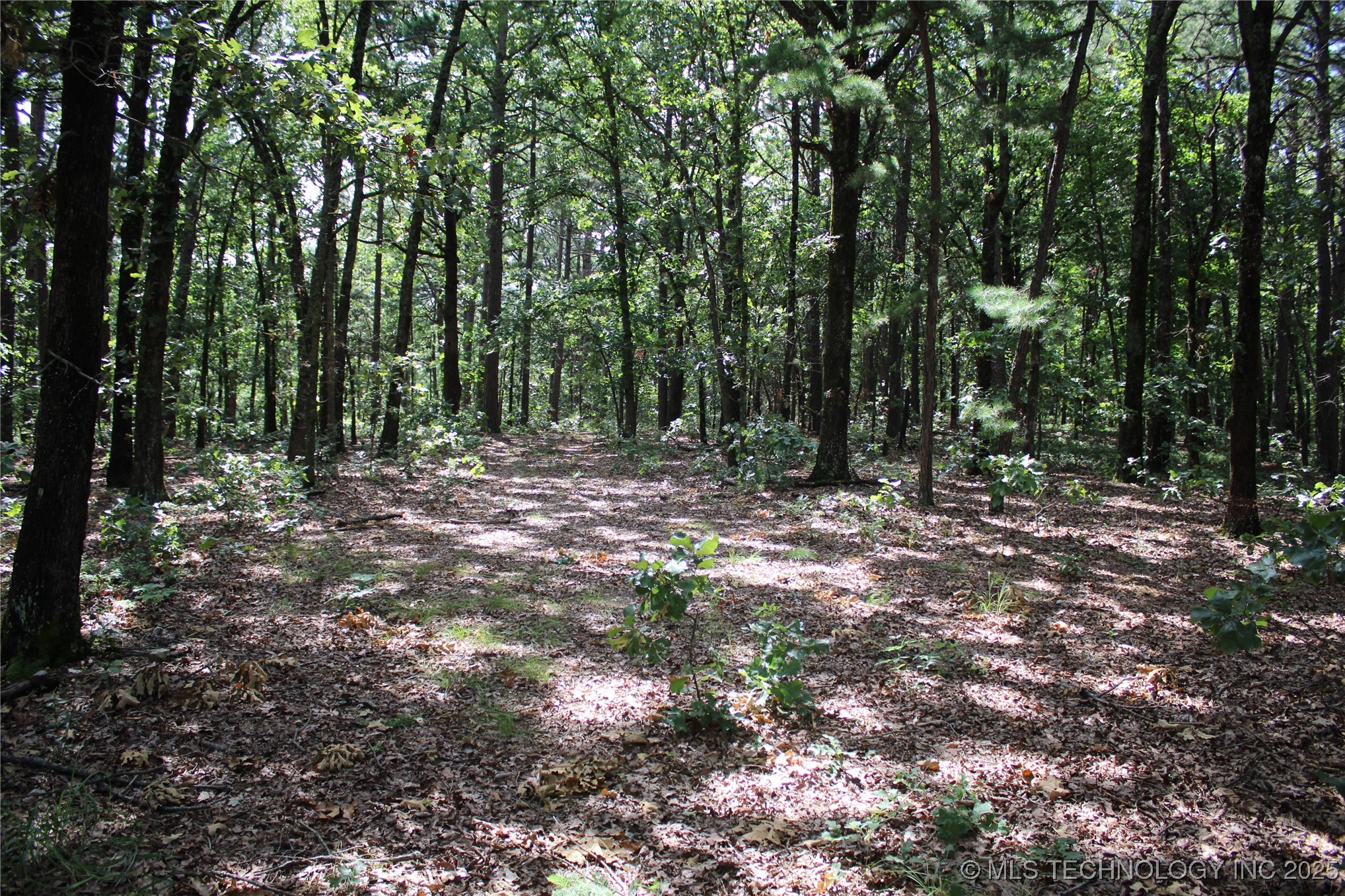 617 Hwy 59 Property Photo 6