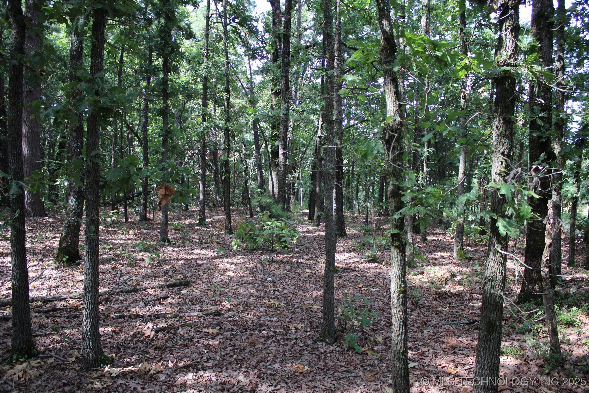 311 Hwy 59 Property Photo 5