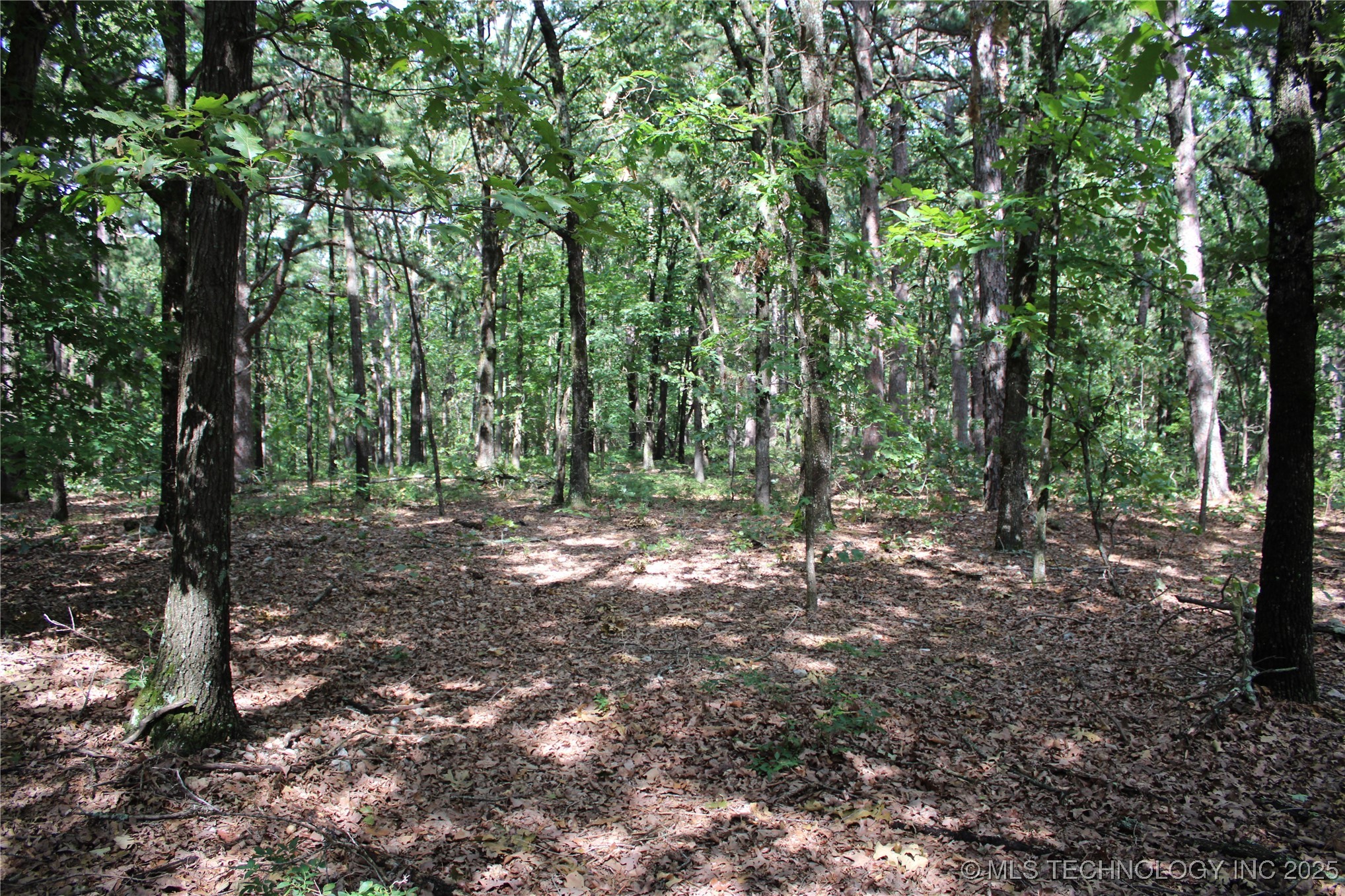 311 Hwy 59 Property Photo 22