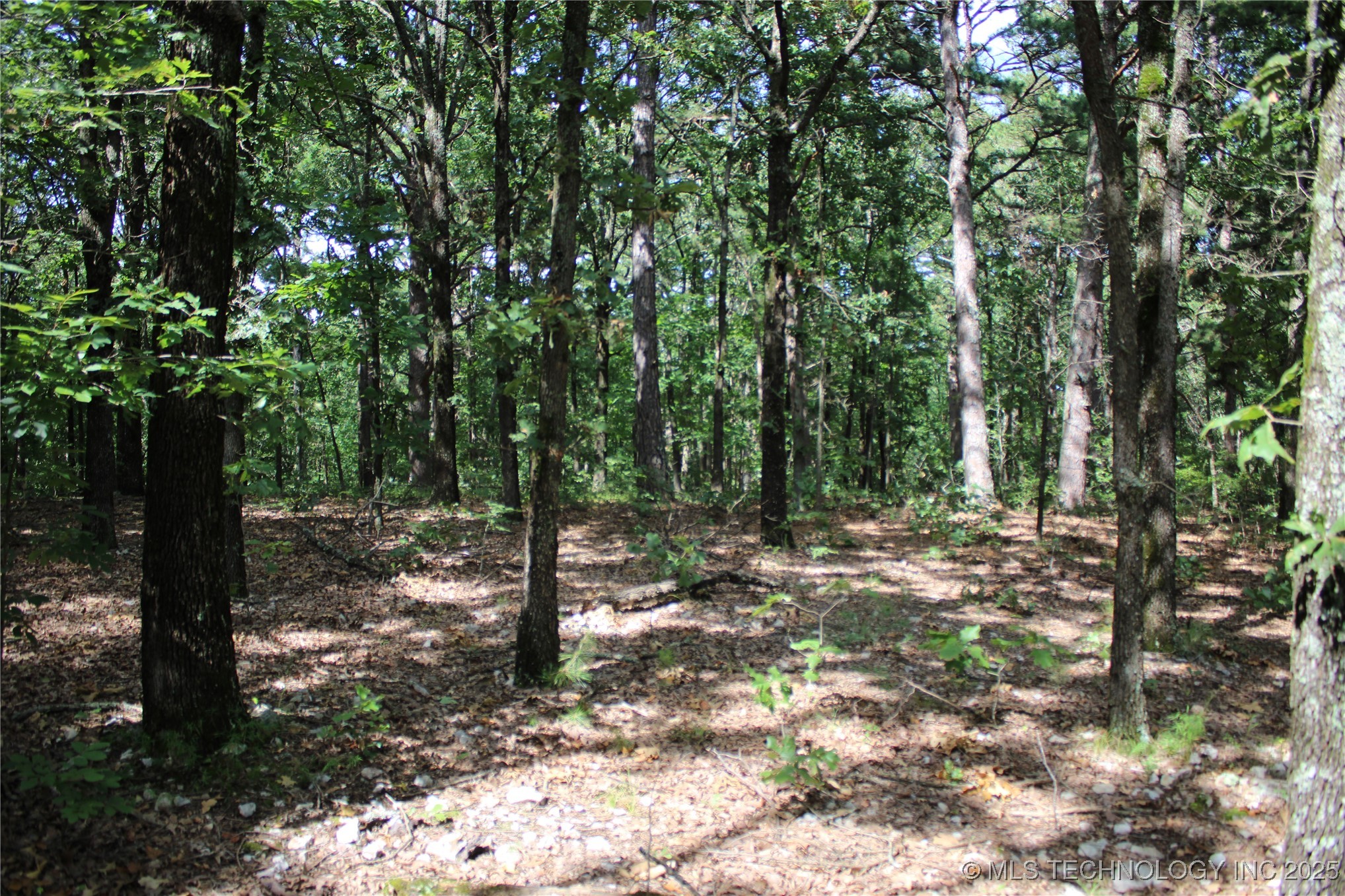 71 Hwy 59 Property Photo 5