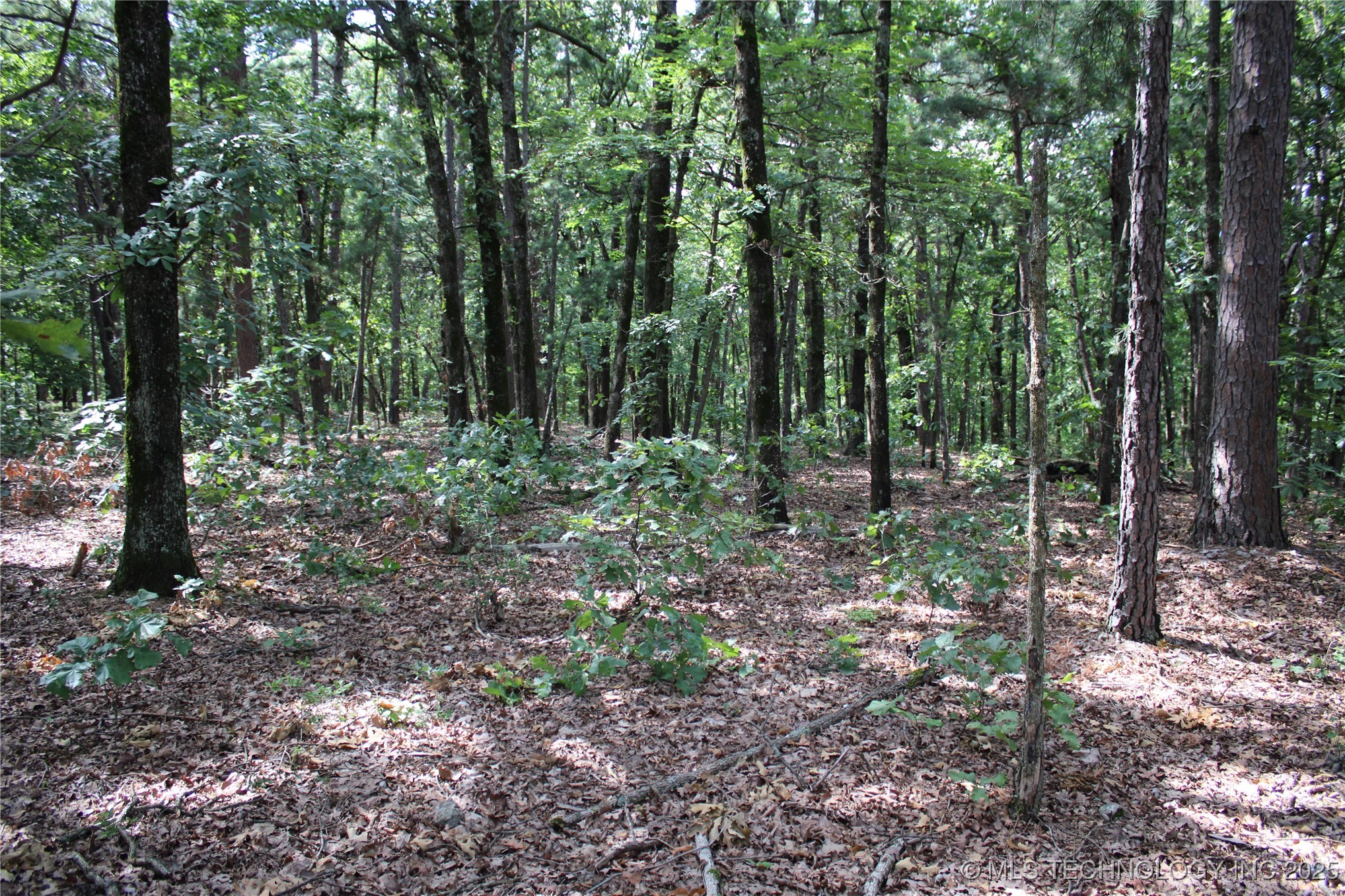 71 Hwy 59 Property Photo 15