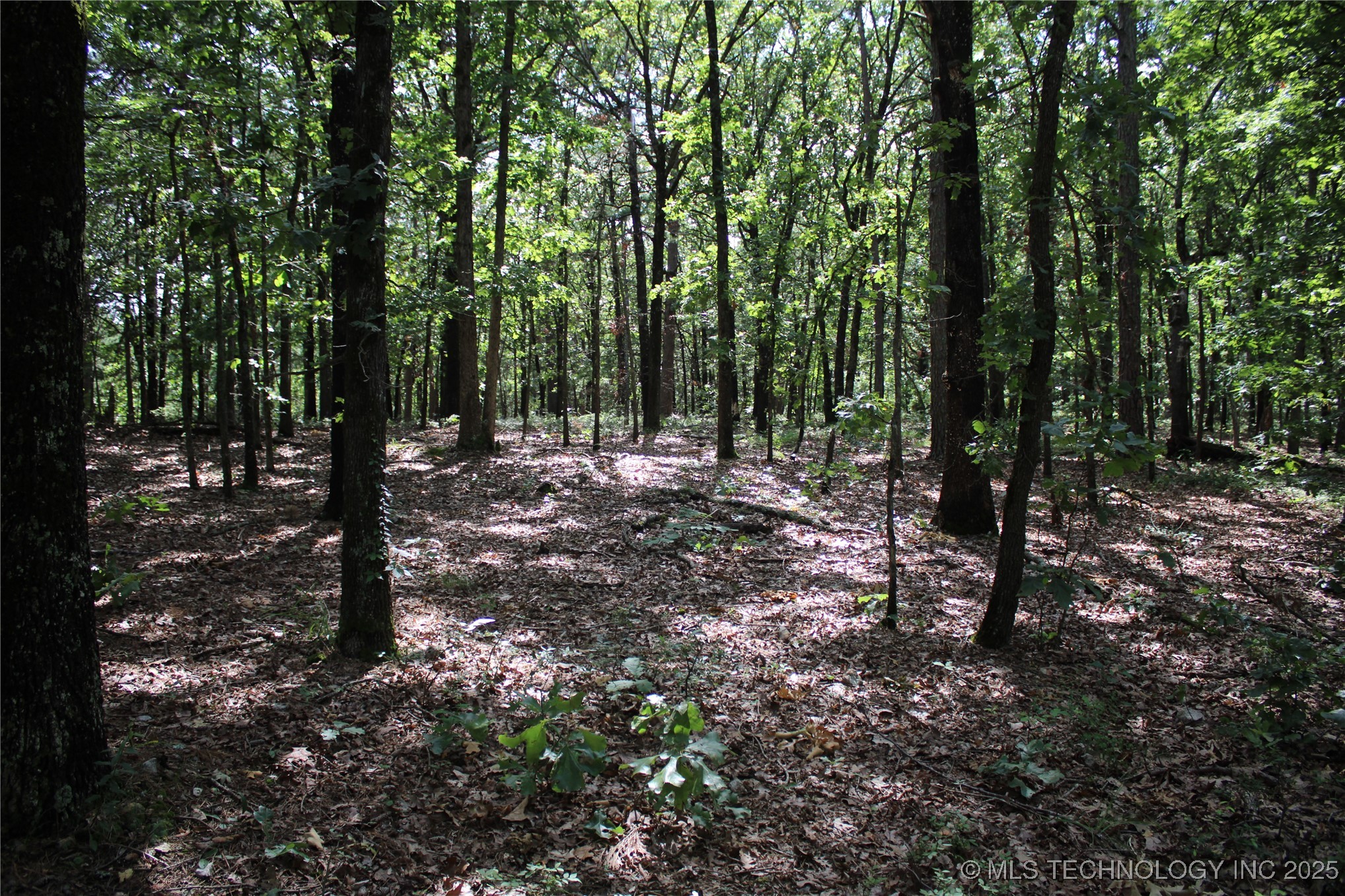 183 E 484 Road Property Photo 8