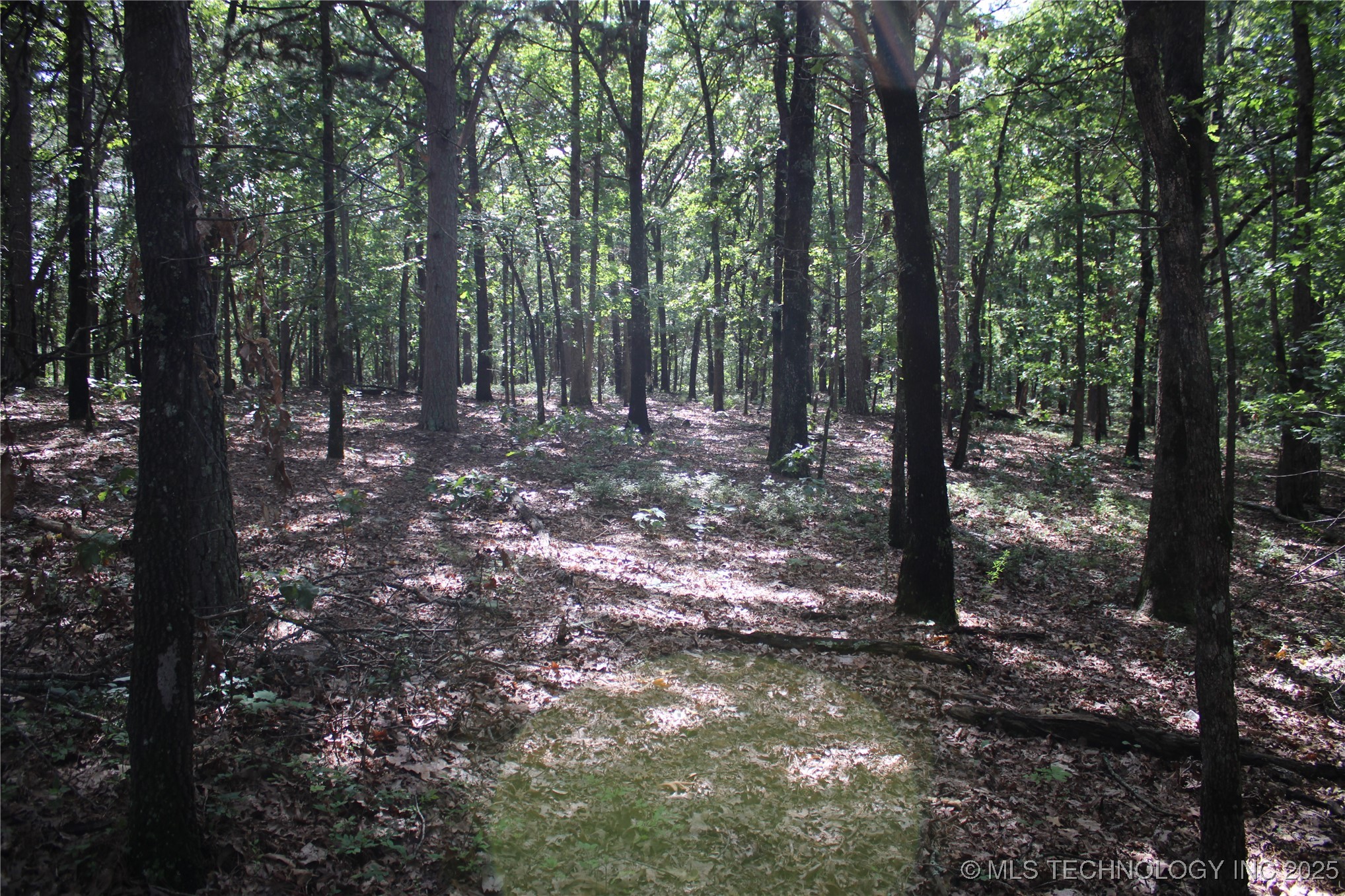 183 E 484 Road Property Photo 11