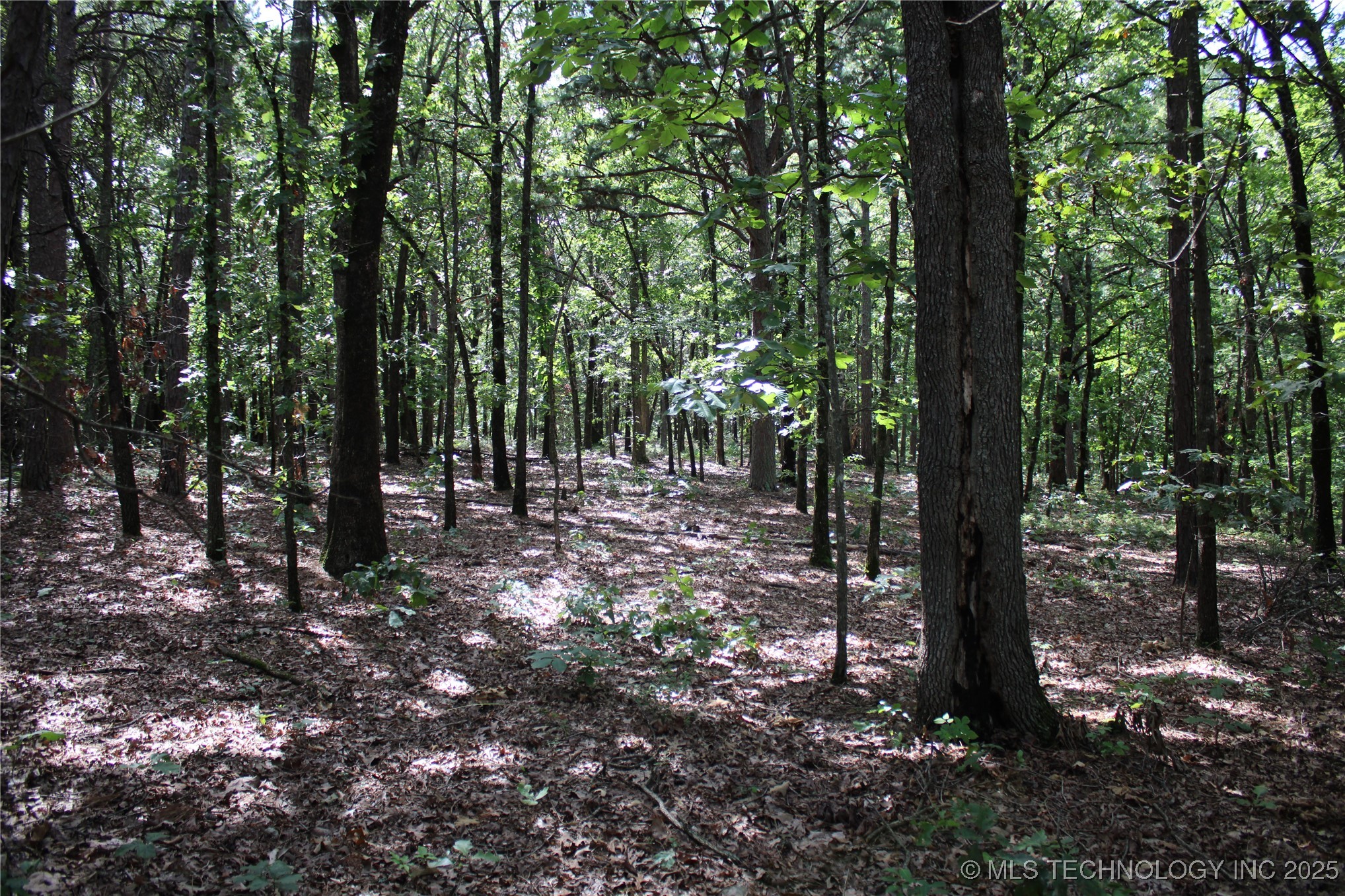 1 E 484 Road Property Photo 12