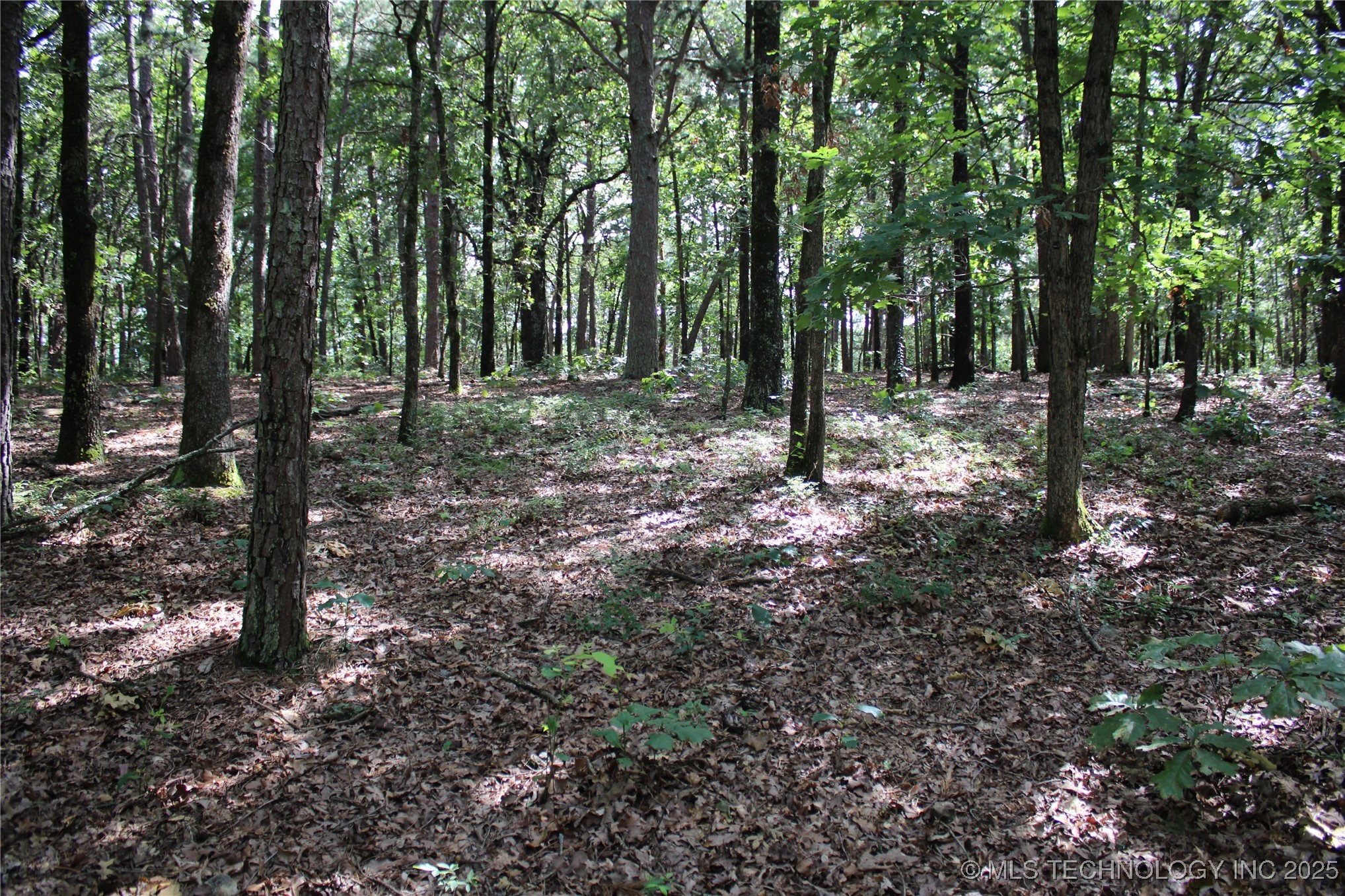 1 E 484 Road Property Photo 18