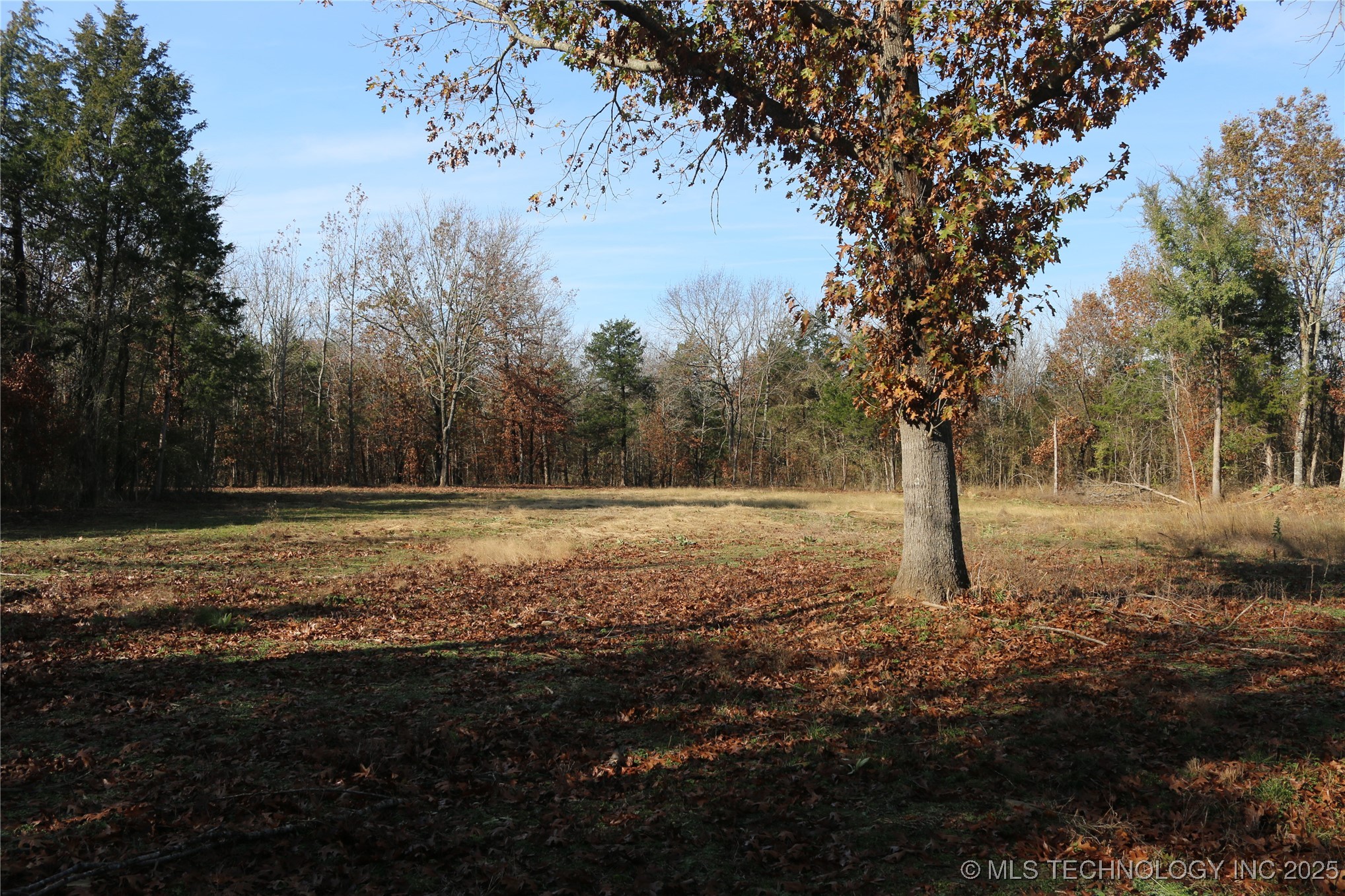 Poteau Mountain Property Photo 4